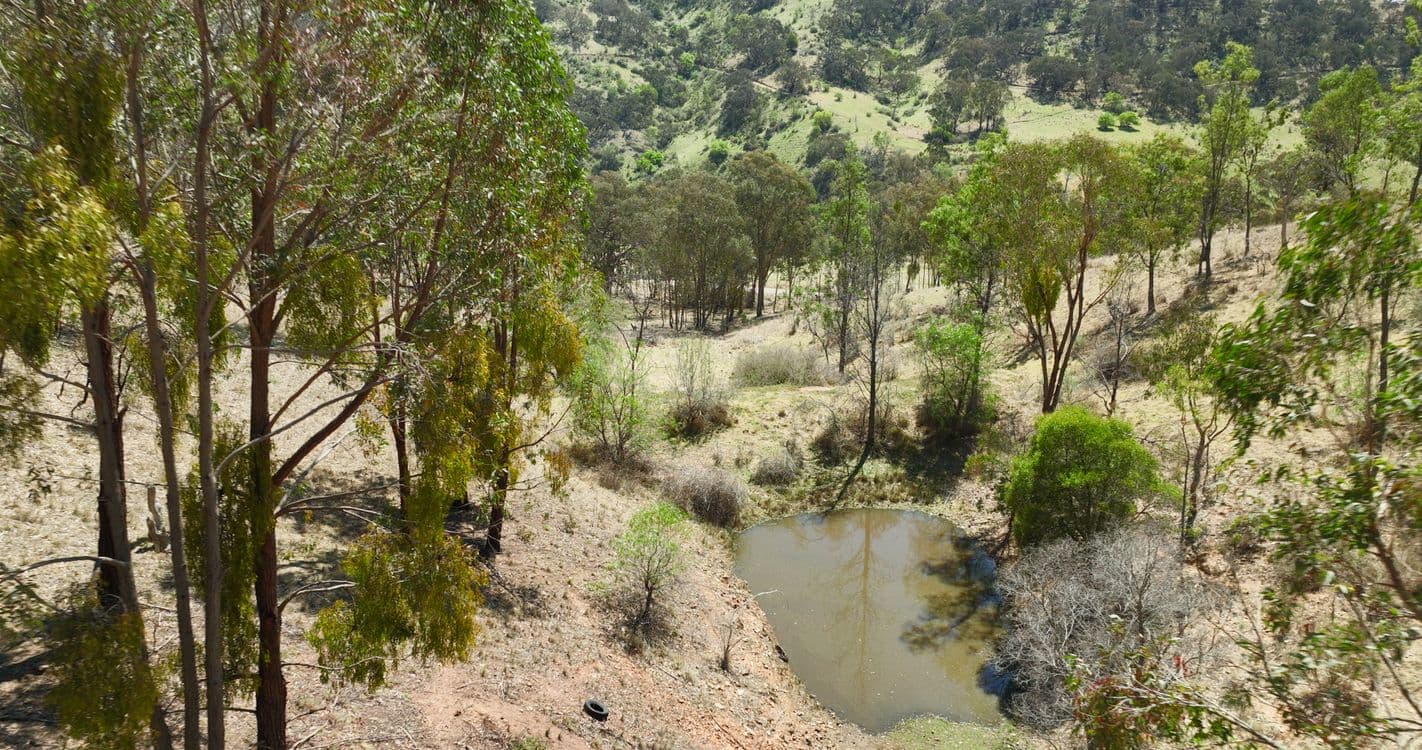 151 Cassilis Road, SWIFTS CREEK, VIC 3896, Swifts Creek - Thumbnail 6