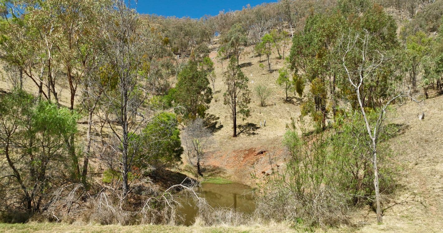 151 Cassilis Road, SWIFTS CREEK, VIC 3896, Swifts Creek - Thumbnail 8