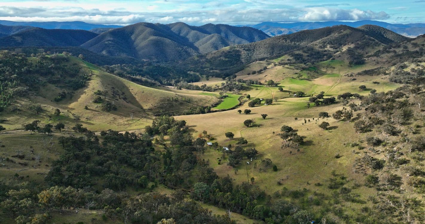 296 Rileys Creek Road, SWIFTS CREEK, VIC 3896, Swifts Creek - Image 1