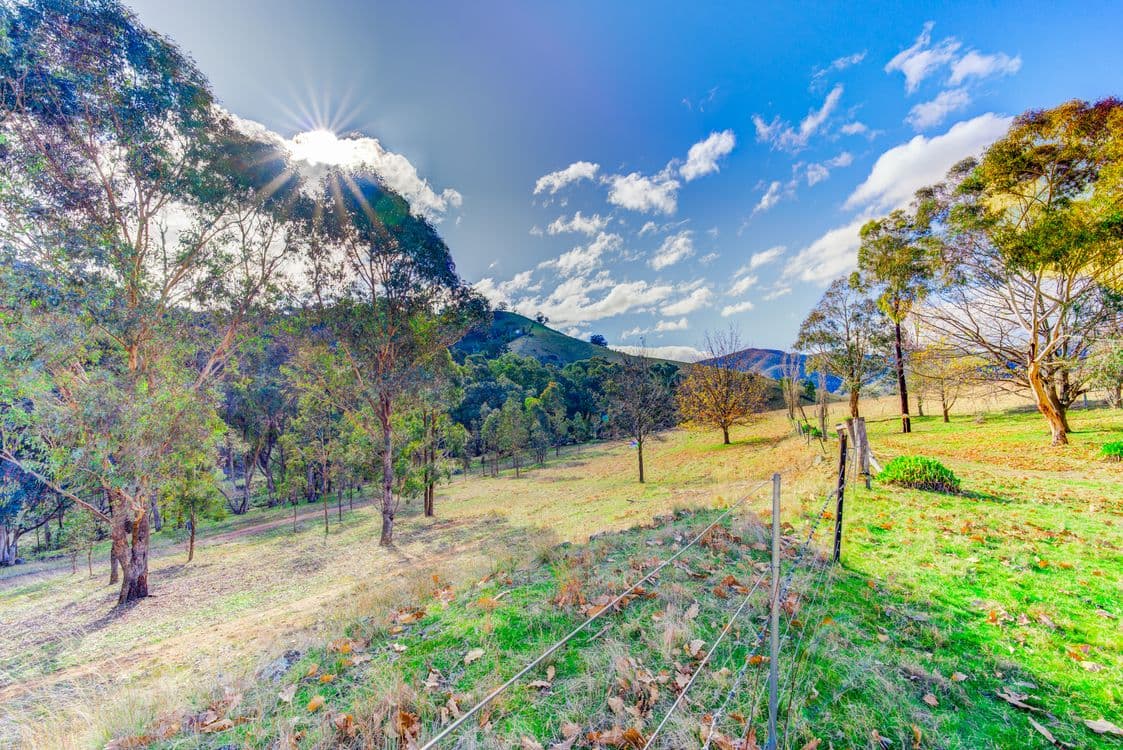 296 Rileys Creek Road, SWIFTS CREEK, VIC 3896, Swifts Creek - Thumbnail 5