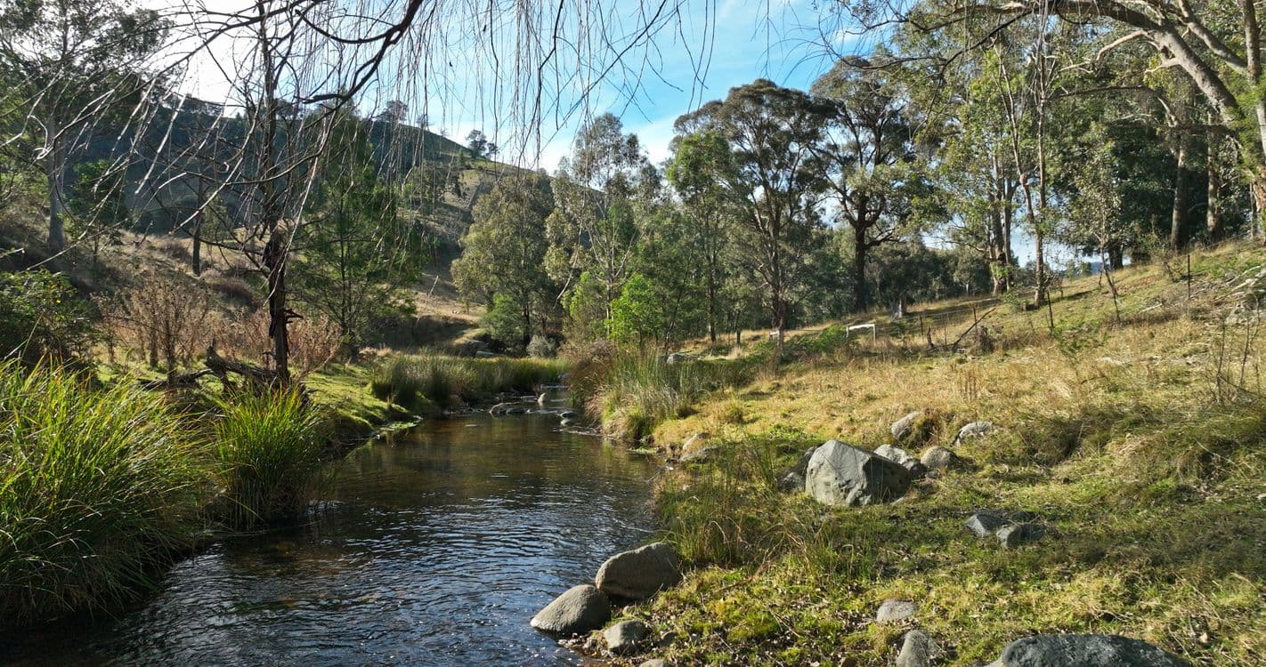 296 Rileys Creek Road, SWIFTS CREEK, VIC 3896, Swifts Creek - Thumbnail 6