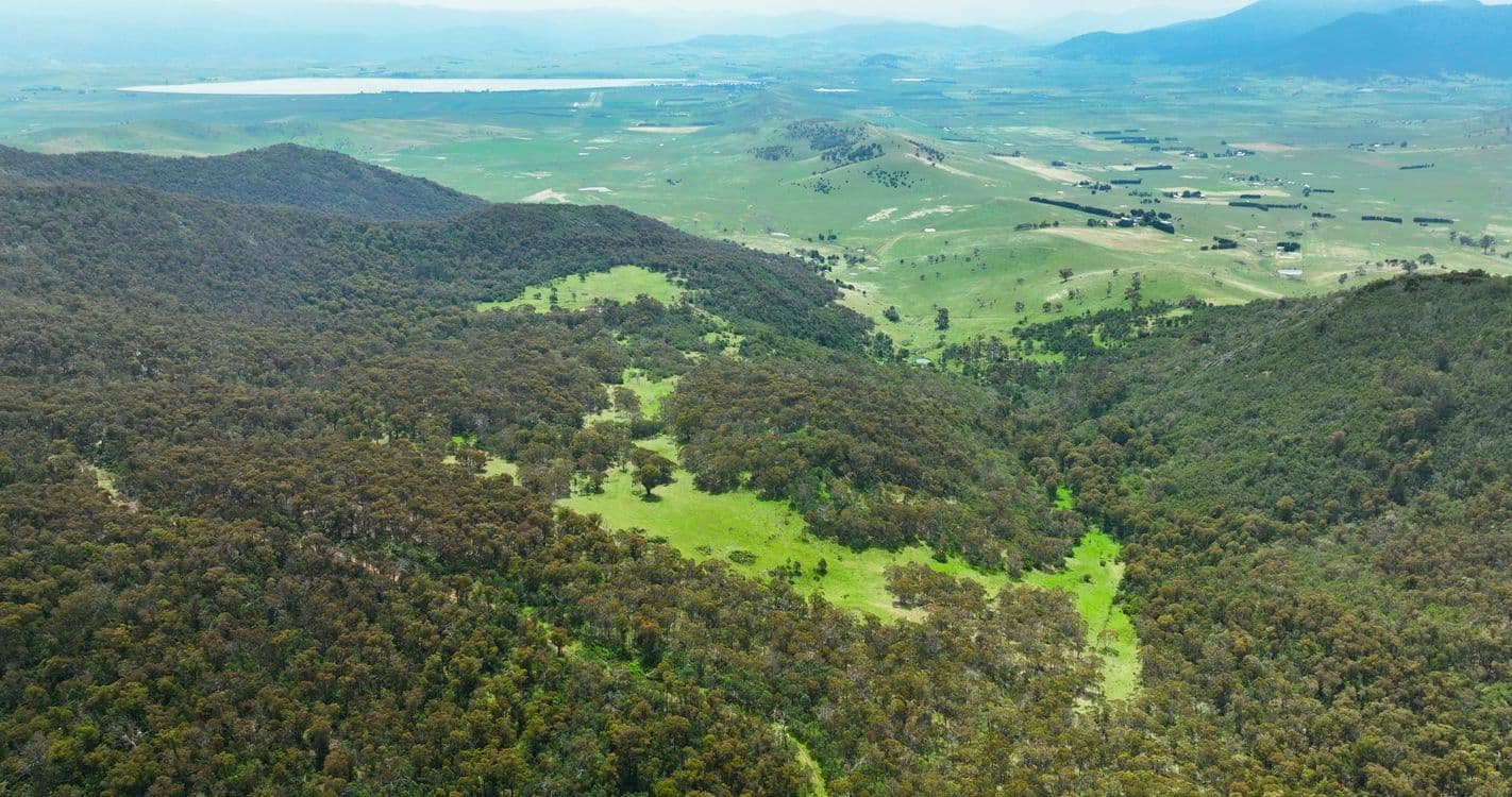 378 Huggins - Pendergast Road, BENAMBRA, VIC 3900, Benambra - Image 1
