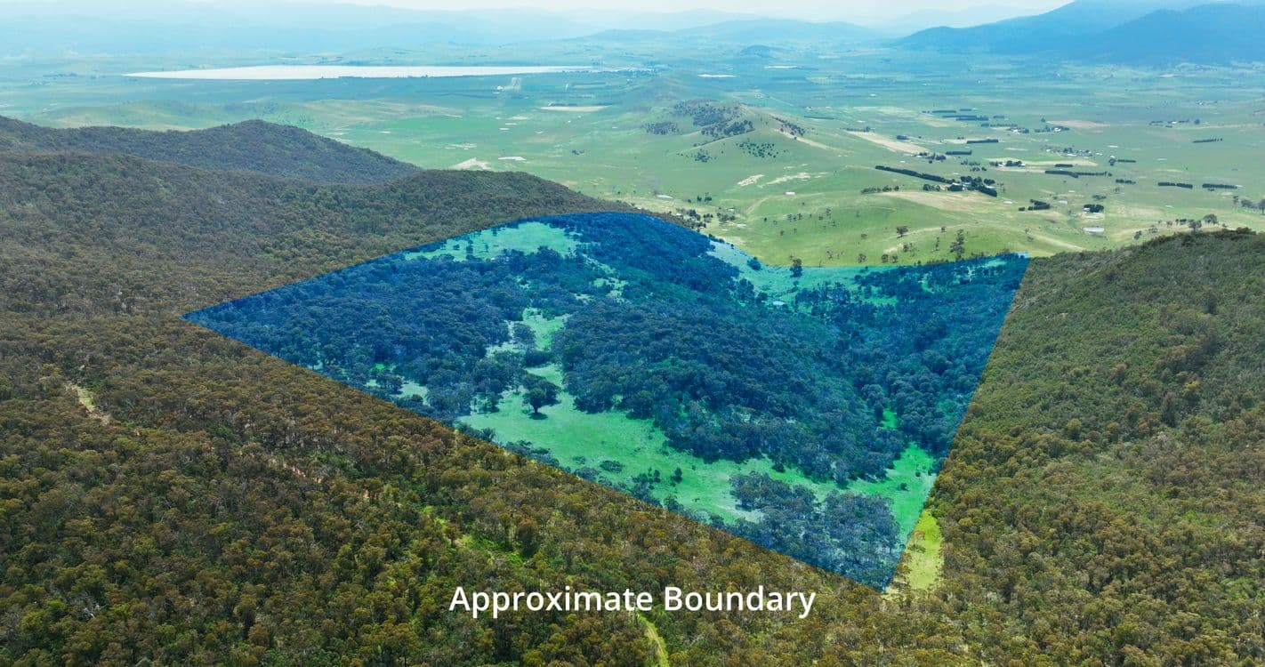 378 Huggins - Pendergast Road, BENAMBRA, VIC 3900, Benambra - Thumbnail 2