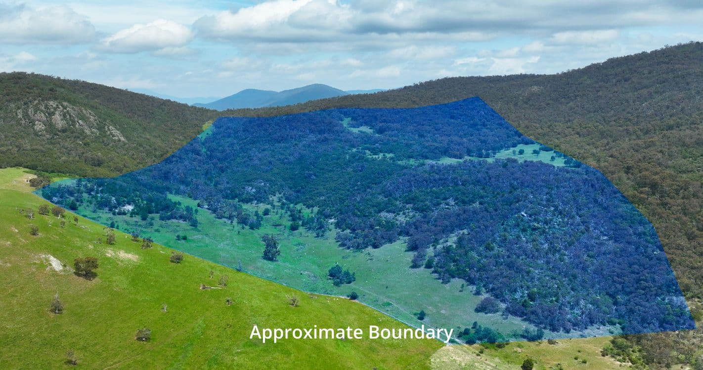 378 Huggins - Pendergast Road, BENAMBRA, VIC 3900, Benambra - Thumbnail 5