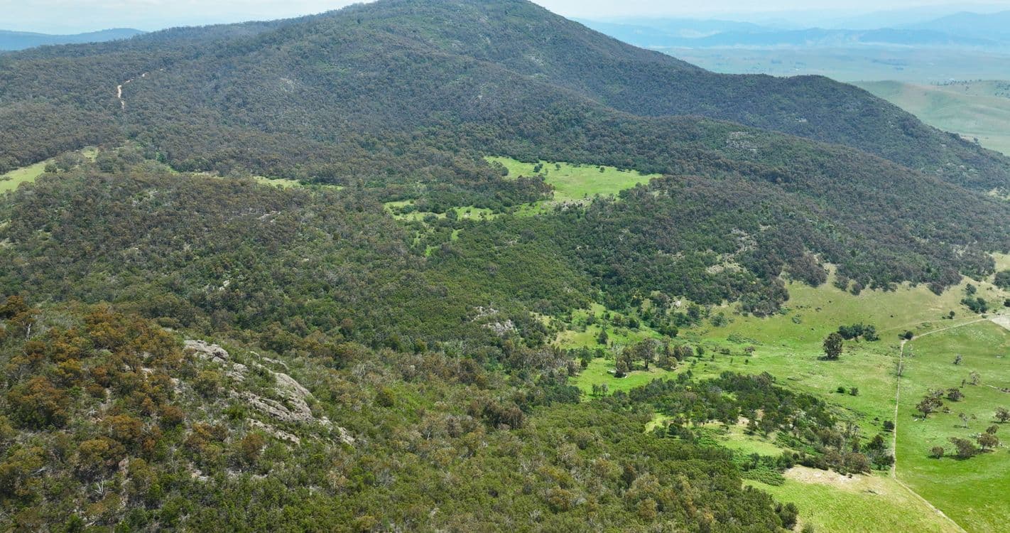 378 Huggins - Pendergast Road, BENAMBRA, VIC 3900, Benambra - Thumbnail 6