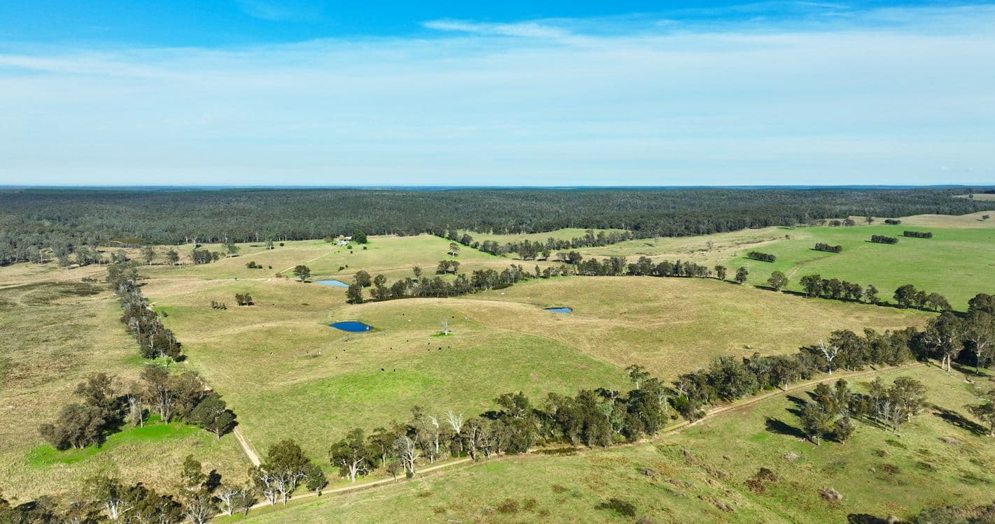 115 Woorara Road, GLENALADALE, VIC 3864, Glenaladale - Thumbnail 2