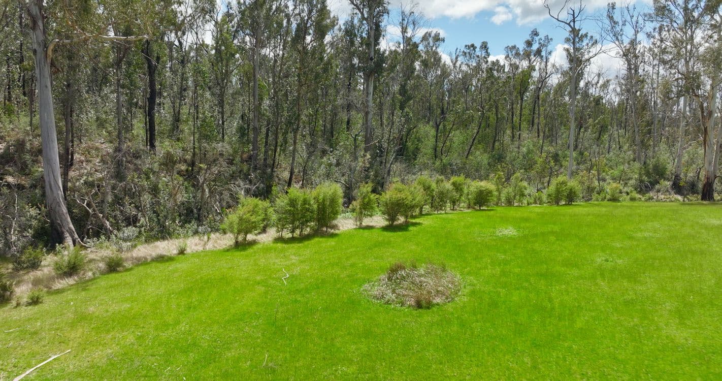 365 Bruthen-Buchan Road, NOWA NOWA, VIC 3887, Nowa Nowa - Thumbnail 7