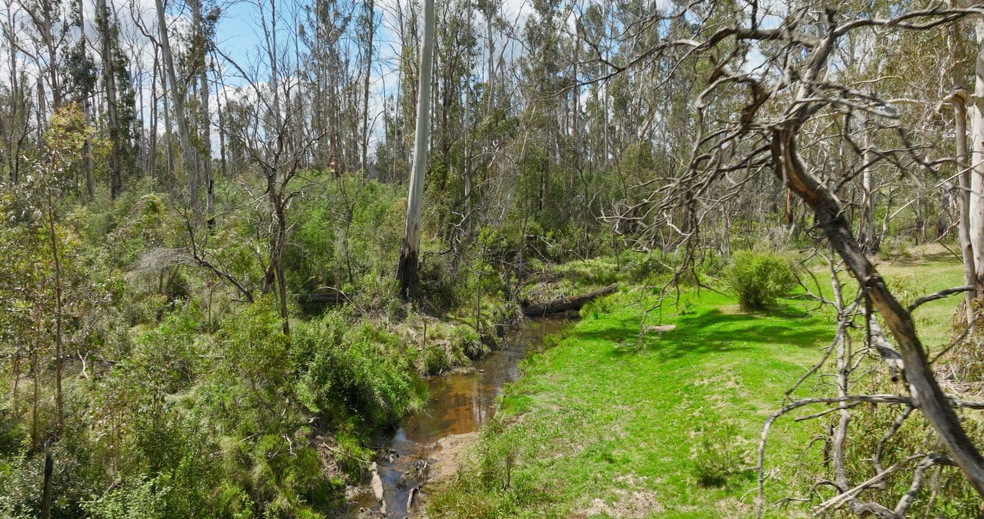 365 Bruthen-Buchan Road, NOWA NOWA, VIC 3887, Nowa Nowa - Thumbnail 8