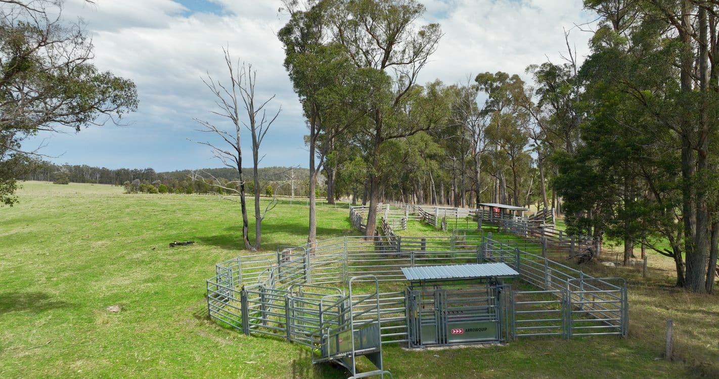 9 Mackiesons Road, BUCHAN SOUTH, VIC 3885, Buchan South - Thumbnail 2