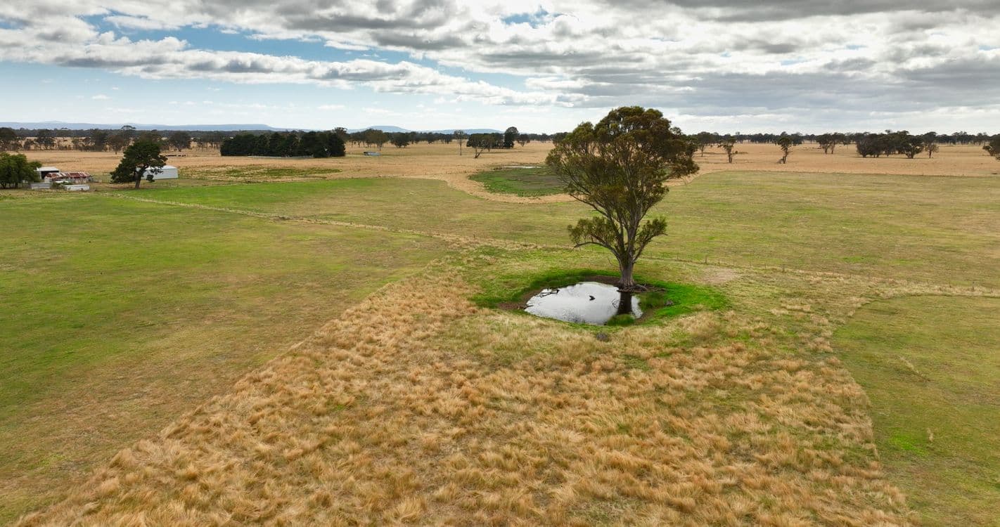 770 Fernbank Glenaladale Road, FERNBANK, VIC 3864, Fernbank - Thumbnail 6