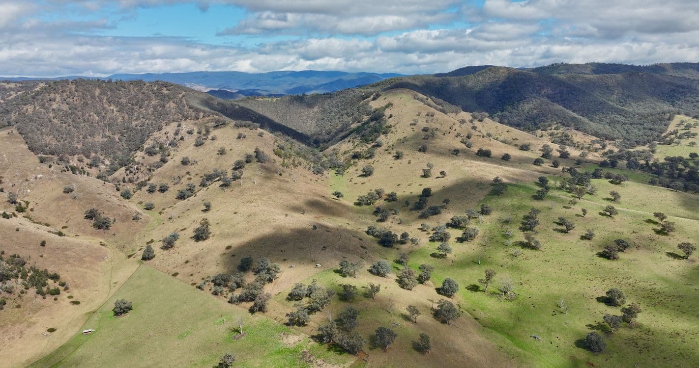469 Bald Hills Creek Road, SWIFTS CREEK, VIC 3896, Swifts Creek - Thumbnail 2