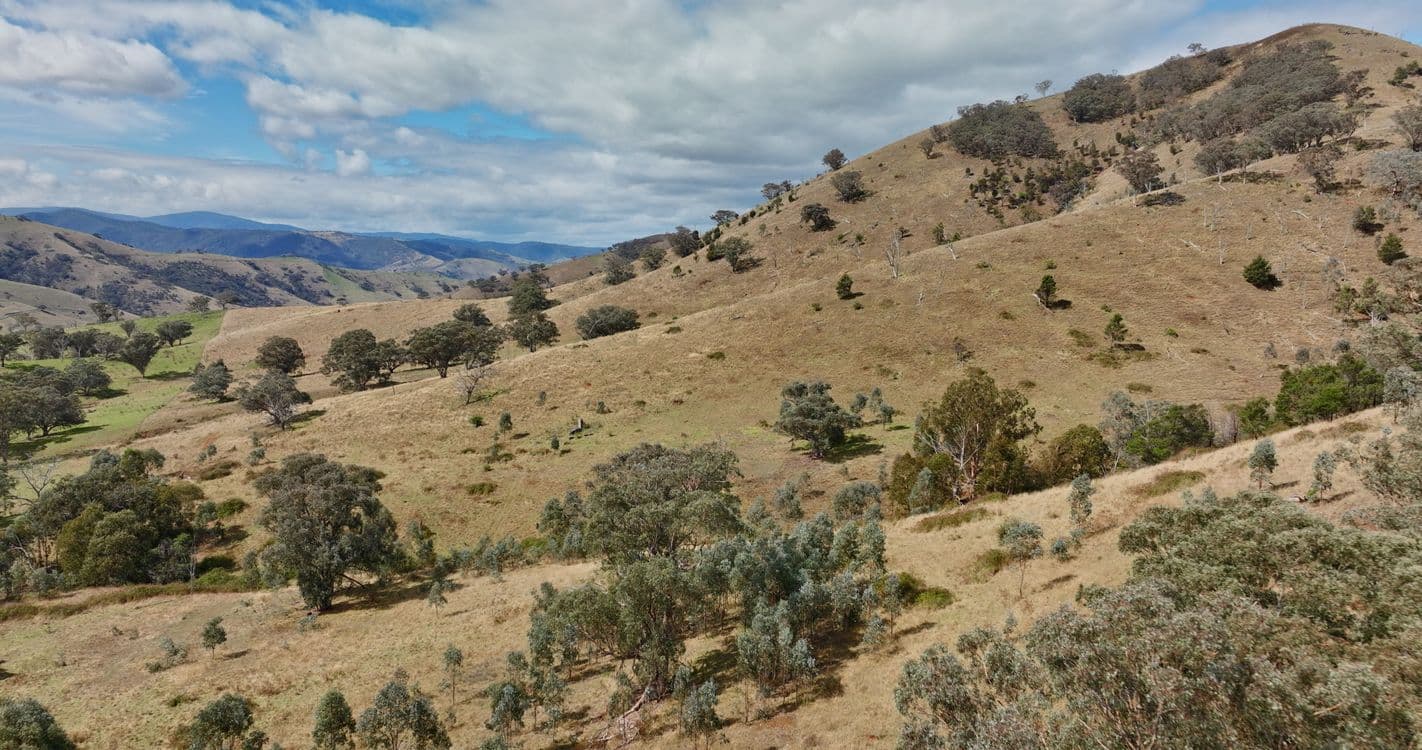469 Bald Hills Creek Road, SWIFTS CREEK, VIC 3896, Swifts Creek - Thumbnail 3