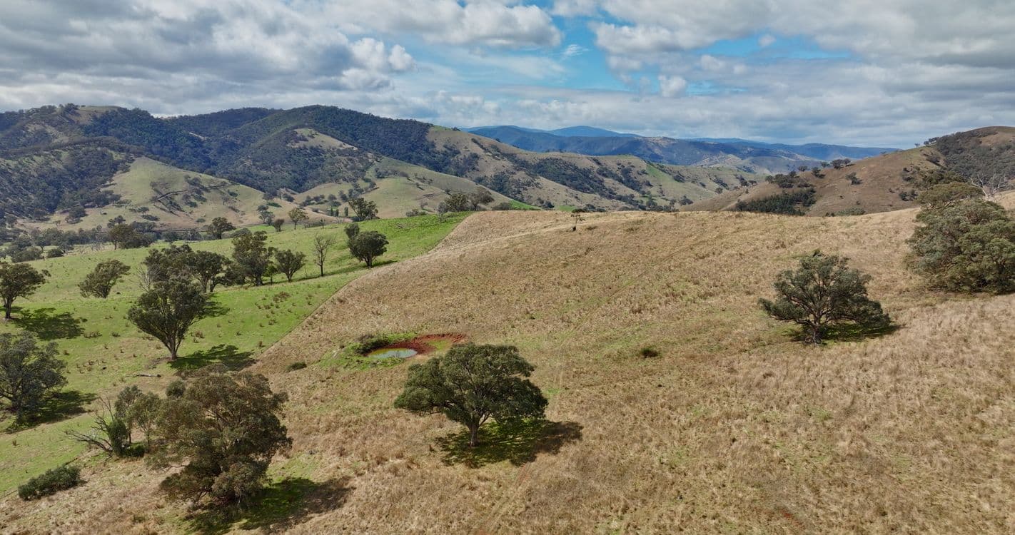 469 Bald Hills Creek Road, SWIFTS CREEK, VIC 3896, Swifts Creek - Thumbnail 4