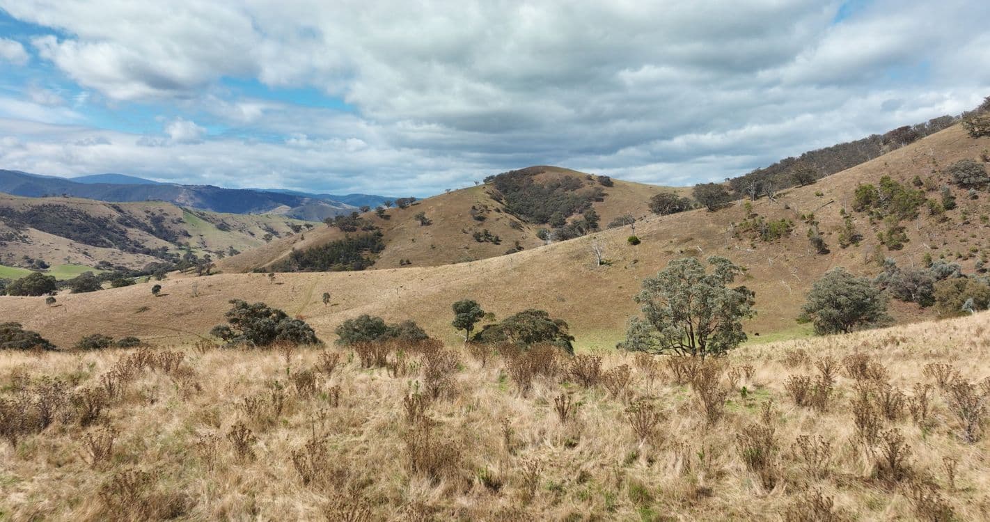 469 Bald Hills Creek Road, SWIFTS CREEK, VIC 3896, Swifts Creek - Thumbnail 6
