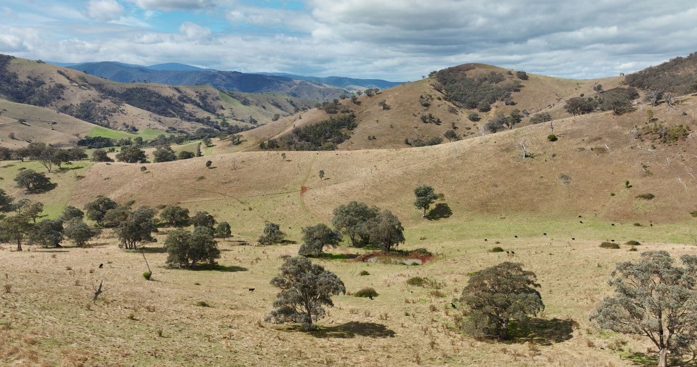 469 Bald Hills Creek Road, SWIFTS CREEK, VIC 3896, Swifts Creek - Thumbnail 7