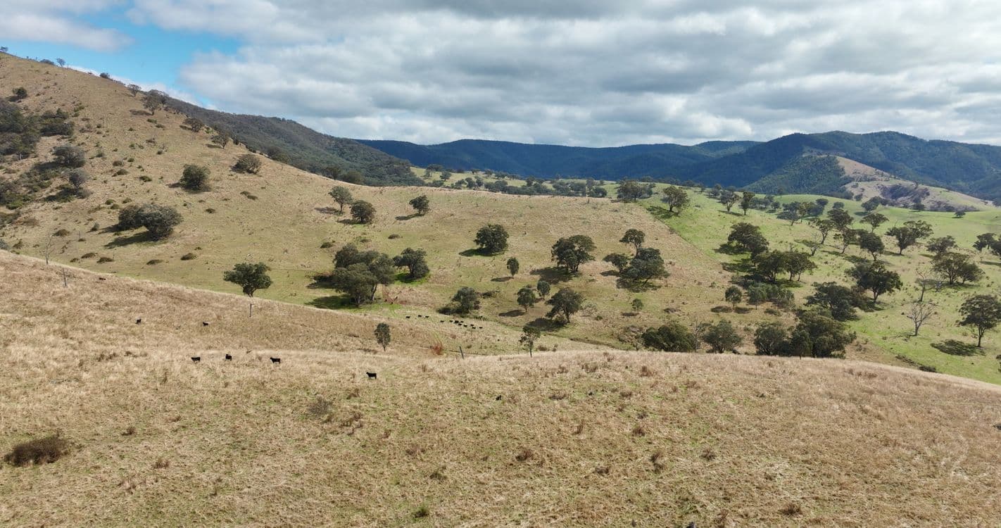 469 Bald Hills Creek Road, SWIFTS CREEK, VIC 3896, Swifts Creek - Thumbnail 8