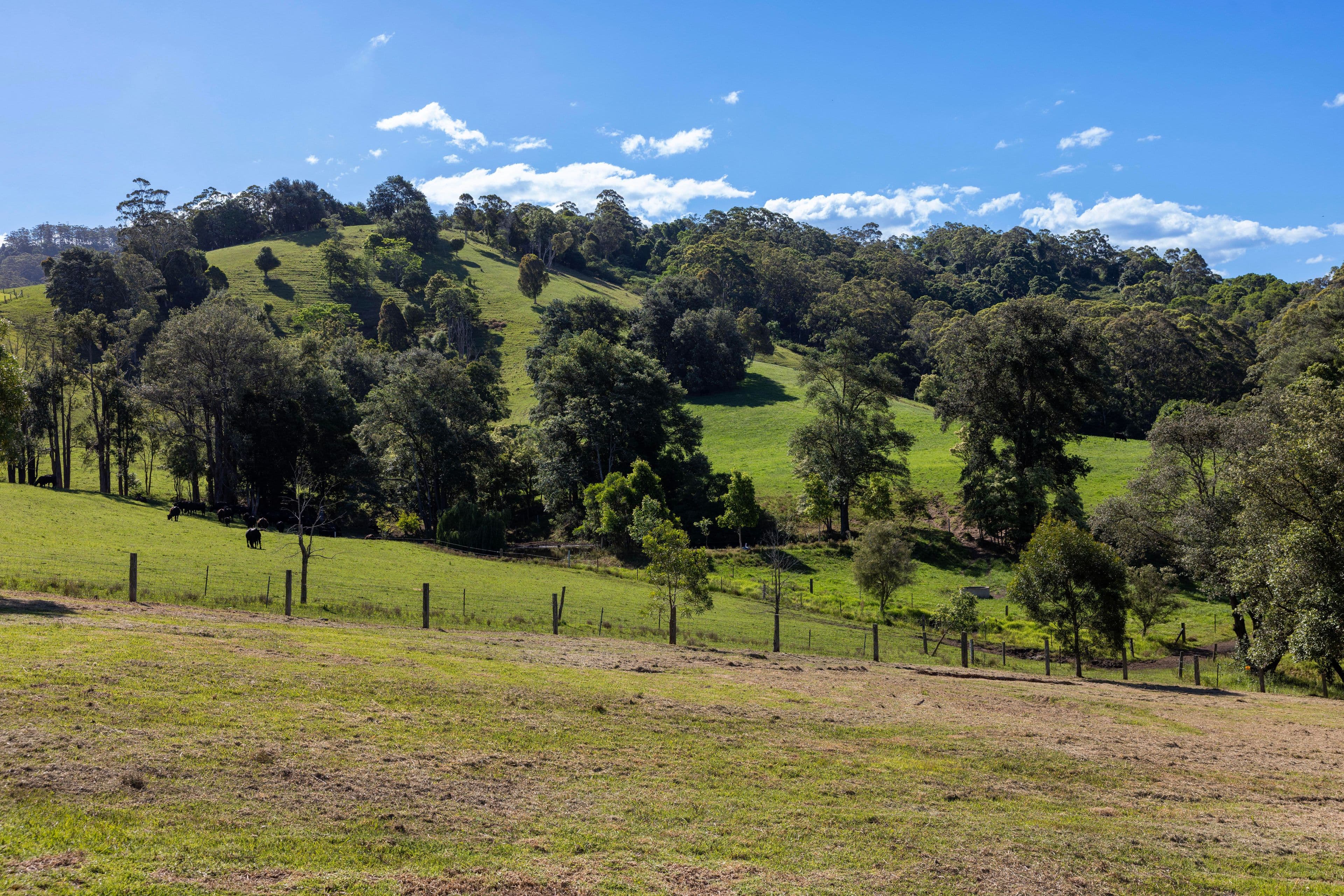 63A Parker Crescent , Berry NSW 2535, Berry - Thumbnail 3