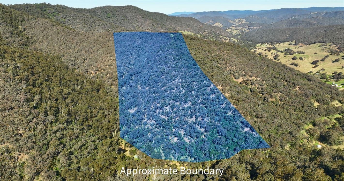100 Ceeneys Road, CASSILIS, VIC 3898, Cassilis - Thumbnail 4