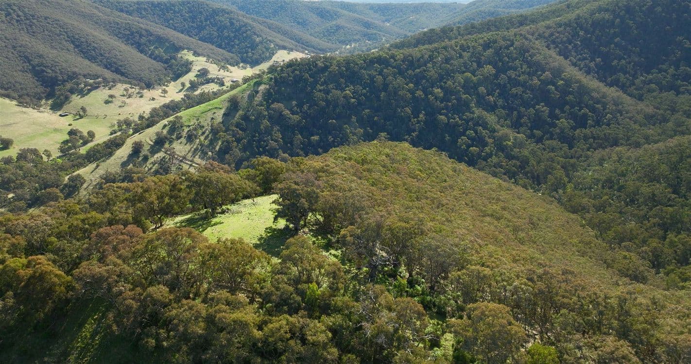 100 Ceeneys Road, CASSILIS, VIC 3898, Cassilis - Thumbnail 6