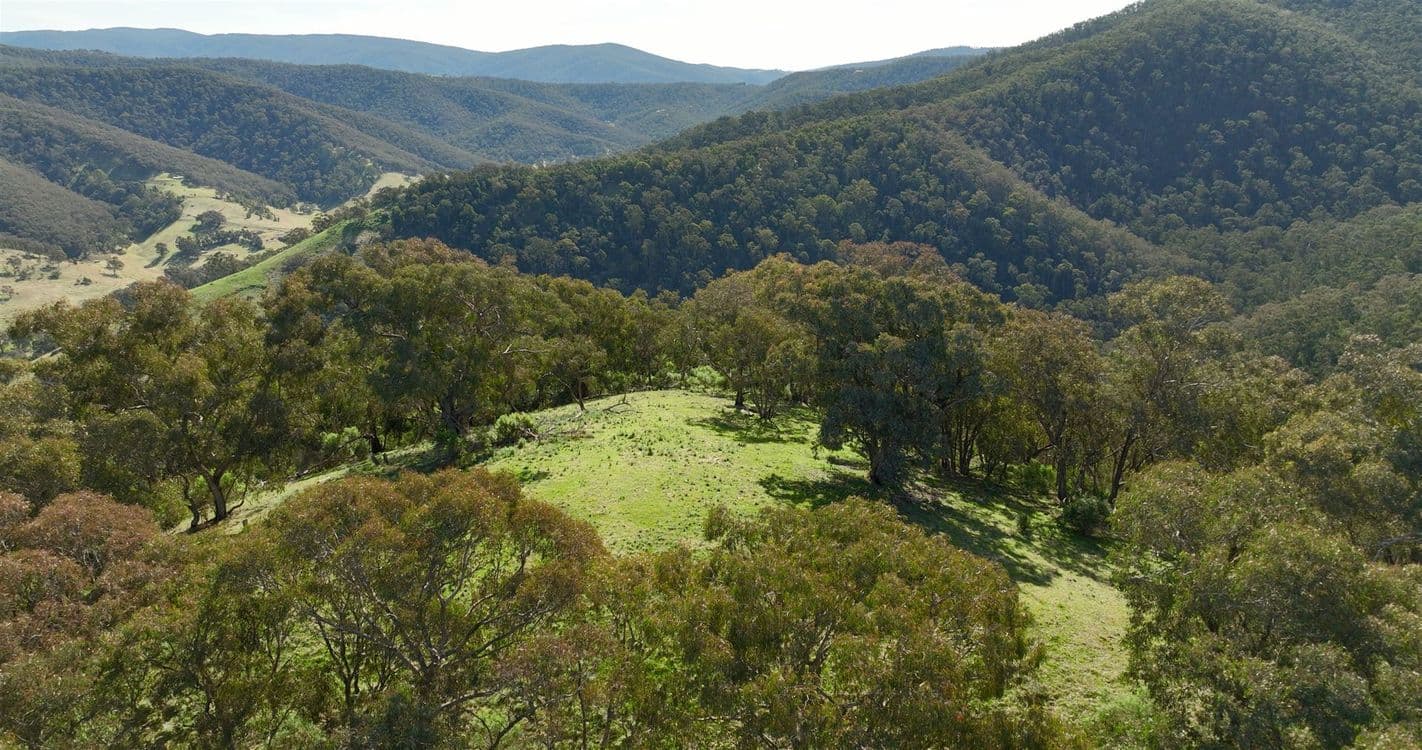 100 Ceeneys Road, CASSILIS, VIC 3898, Cassilis - Thumbnail 7