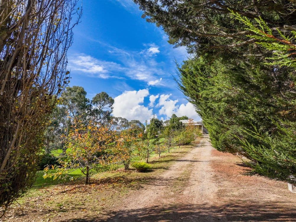 127 Day Avenue, OMEO, VIC 3898, Omeo - Thumbnail 3