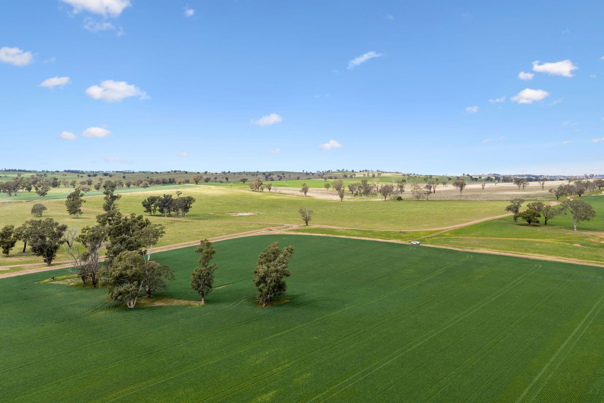 "Bellissima" 630 Astons Lane, Thuddungra Via , Young NSW 2594, Young - Thumbnail 3