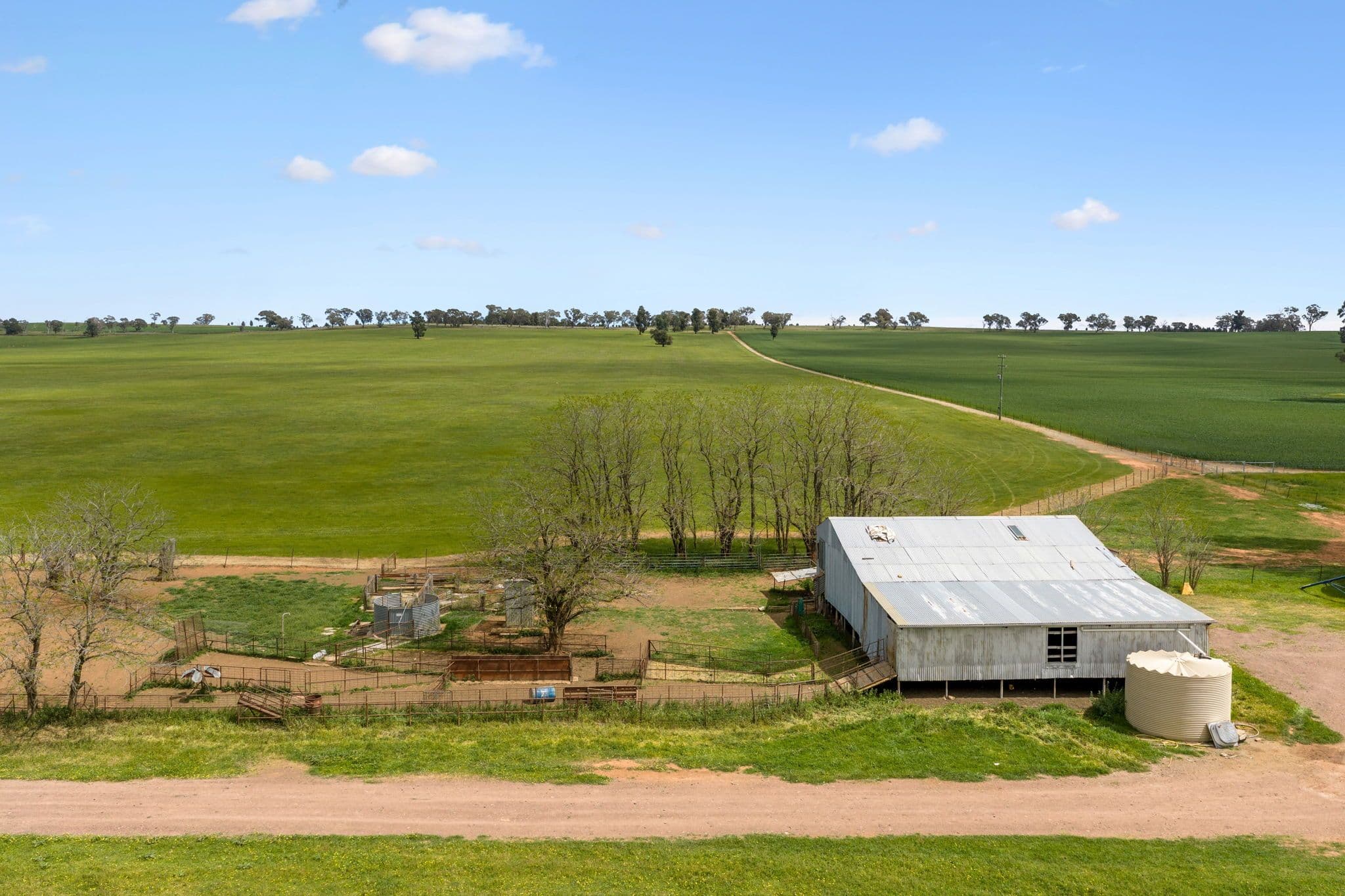 "Bellissima" 630 Astons Lane, Thuddungra Via , Young NSW 2594, Young - Thumbnail 6