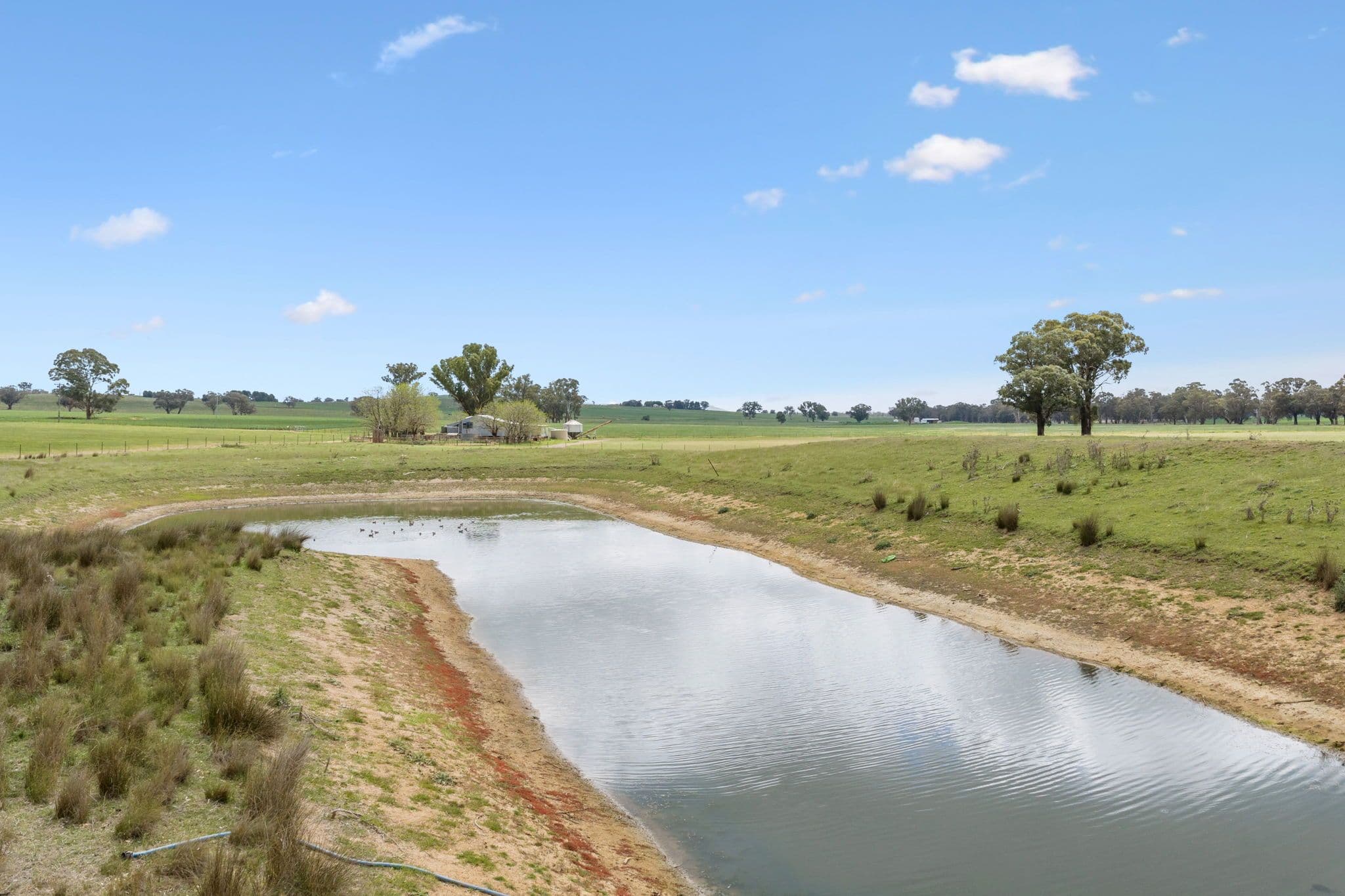 "Bellissima" 630 Astons Lane, Thuddungra Via , Young NSW 2594, Young - Thumbnail 7