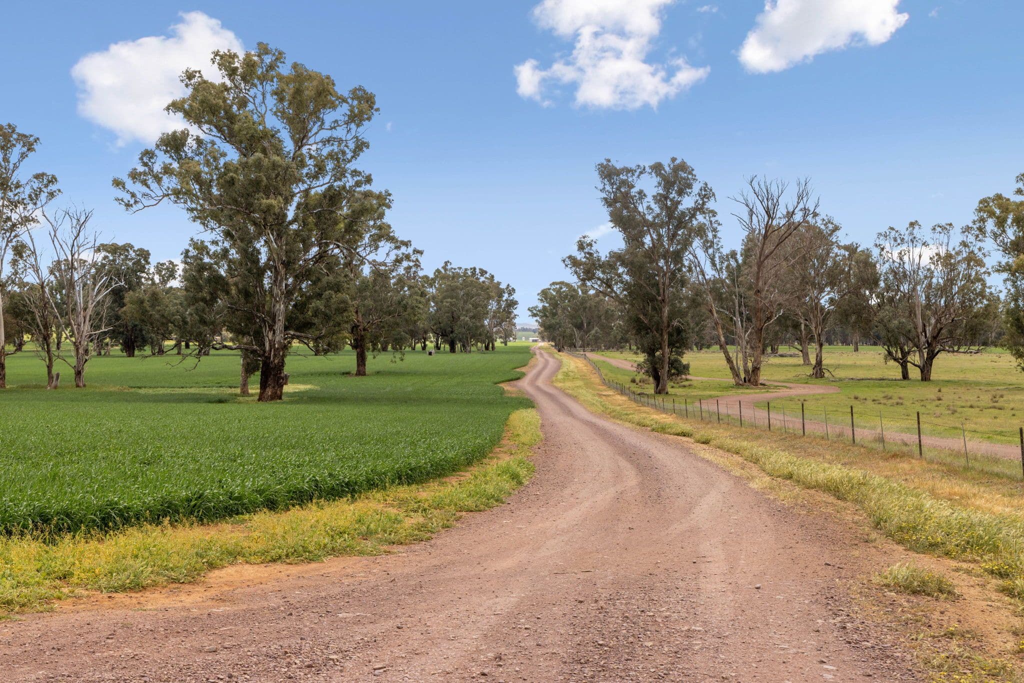 "Bellissima" 630 Astons Lane, Thuddungra Via , Young NSW 2594, Young - Thumbnail 8