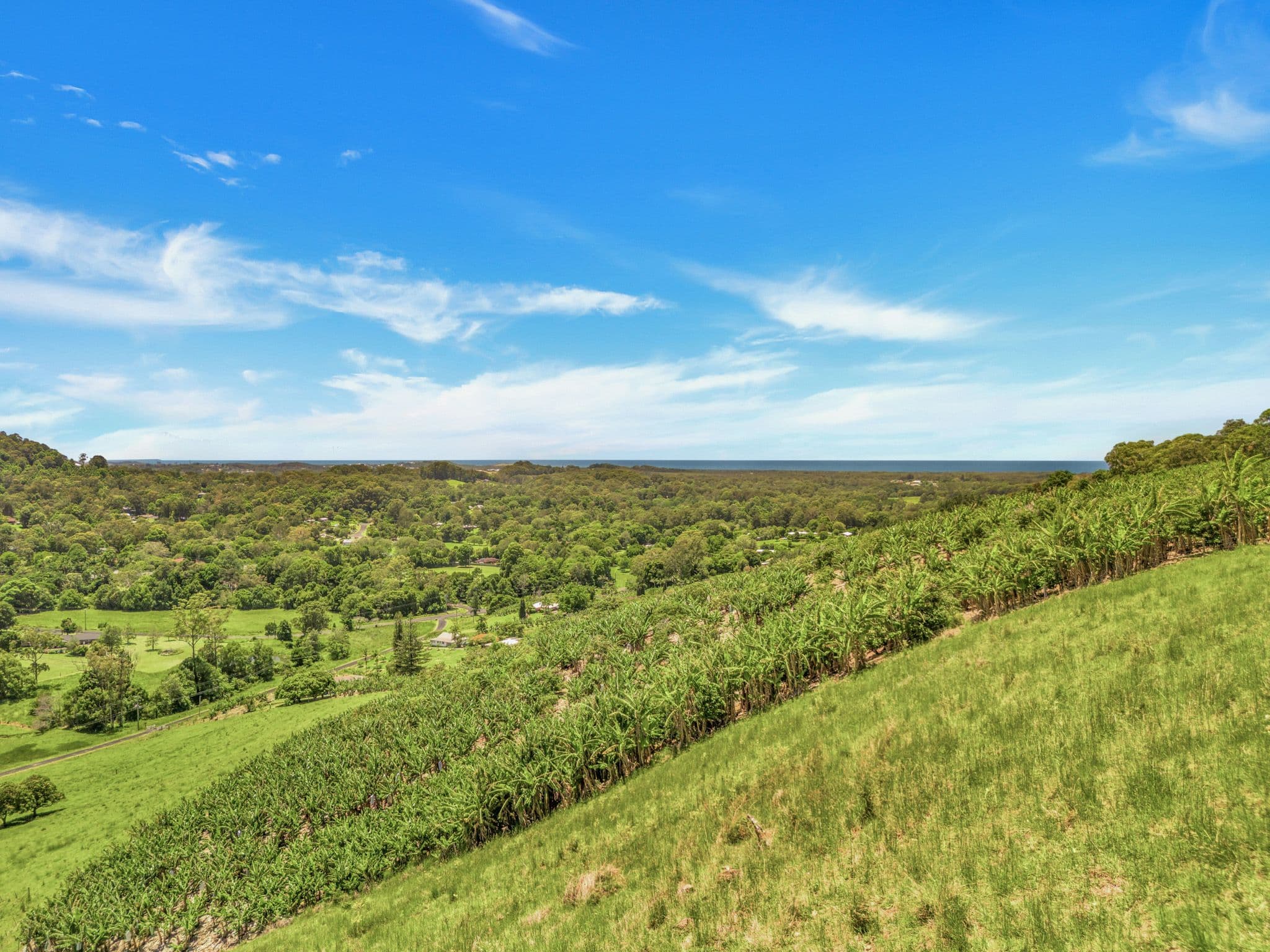 39 Wedds Road , Boambee NSW 2450, Boambee - Thumbnail 4