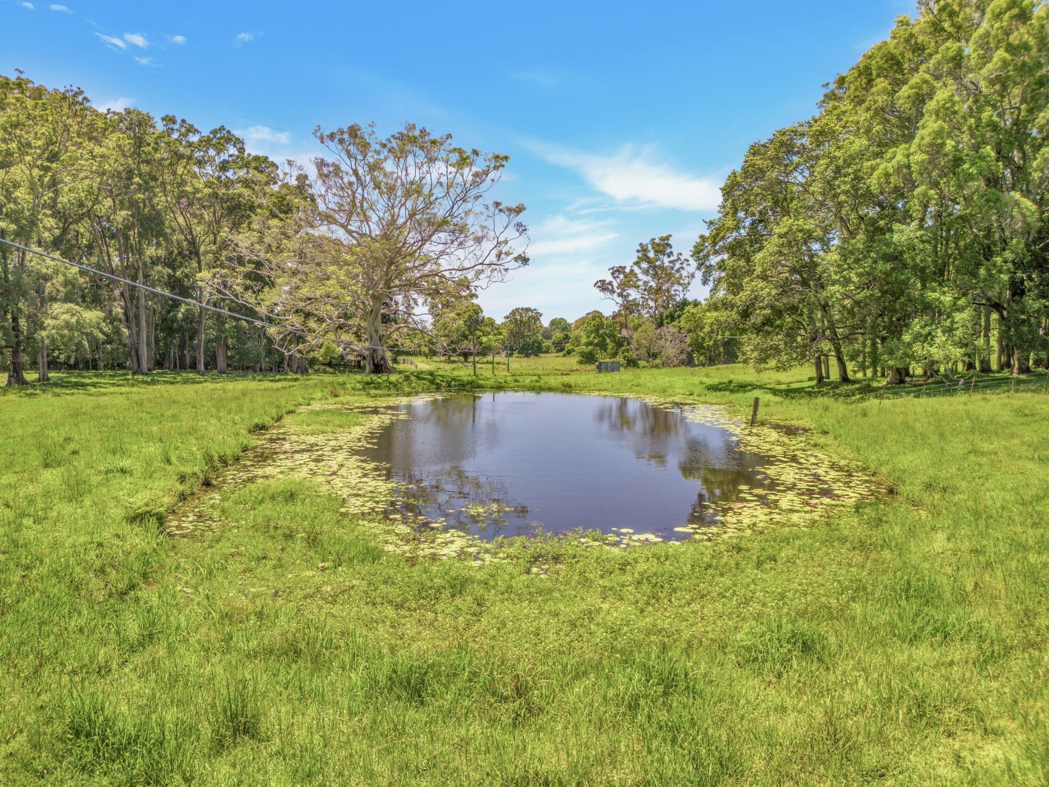 39 Wedds Road , Boambee NSW 2450, Boambee - Thumbnail 5