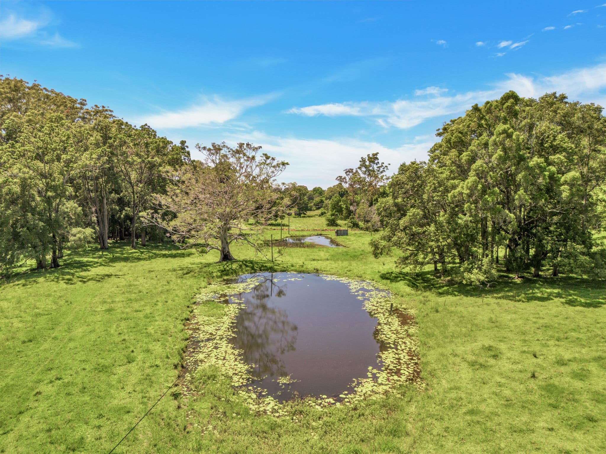 39 Wedds Road , Boambee NSW 2450, Boambee - Thumbnail 6