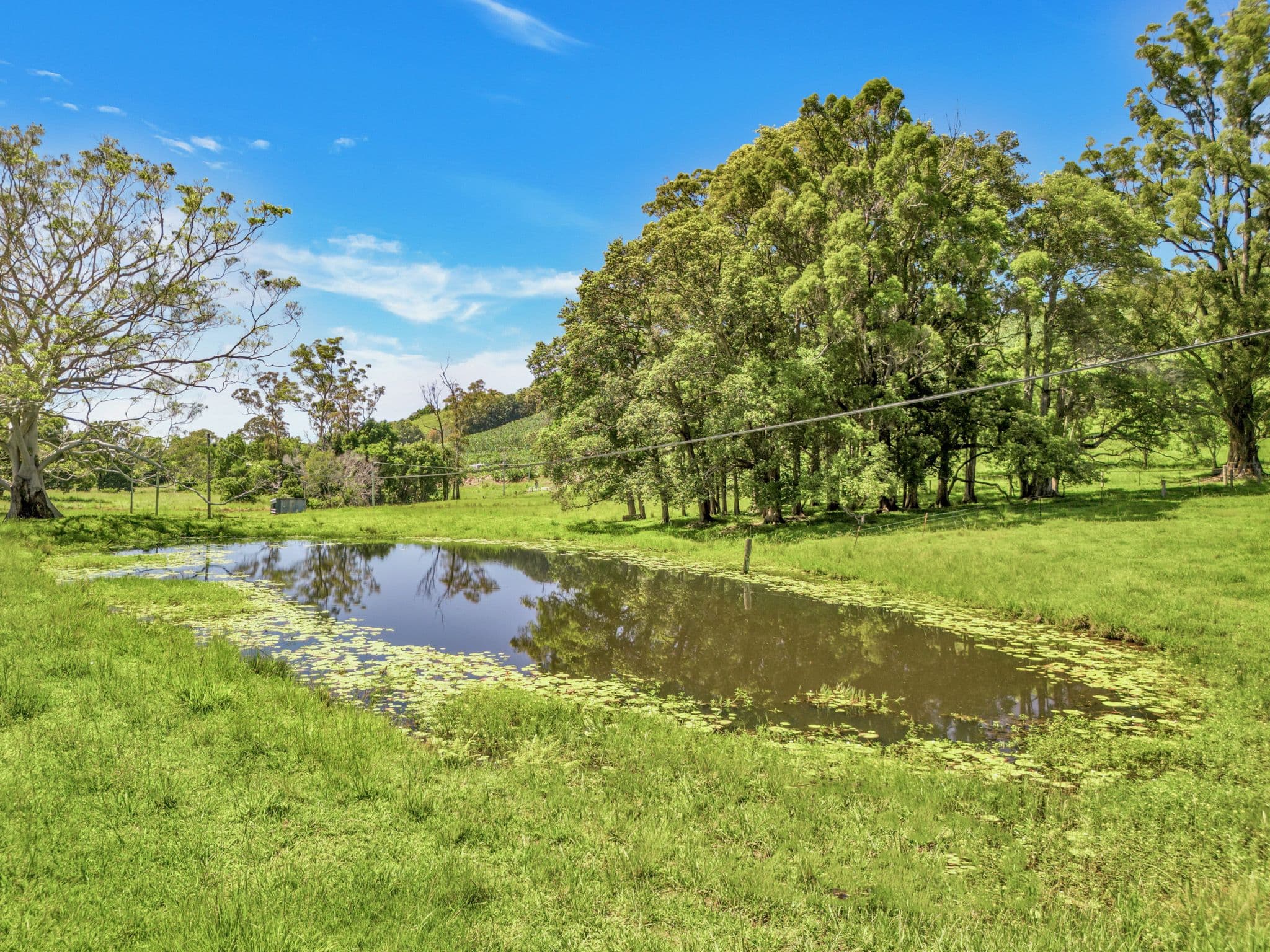 39 Wedds Road , Boambee NSW 2450, Boambee - Thumbnail 7