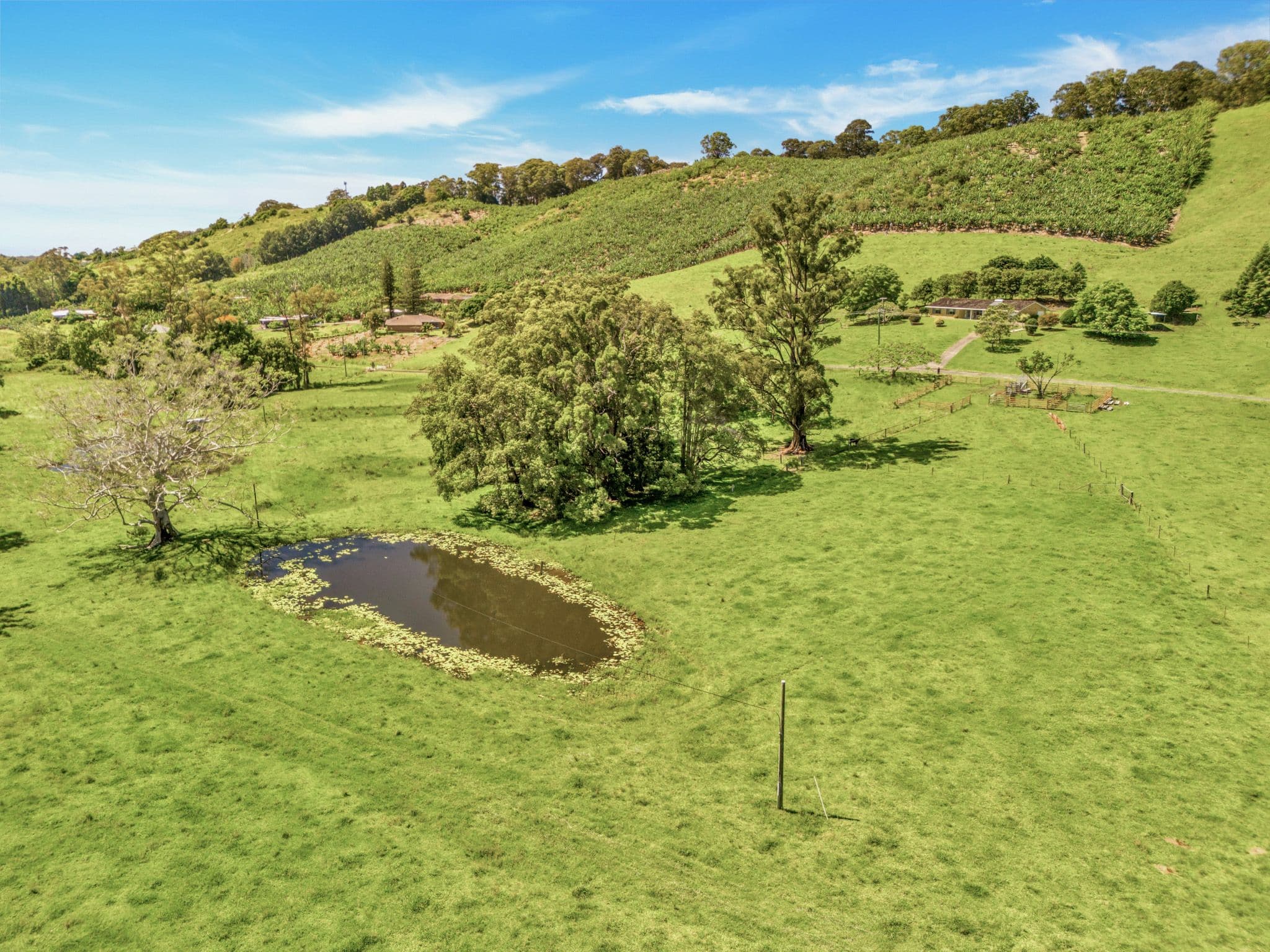39 Wedds Road , Boambee NSW 2450, Boambee - Thumbnail 8