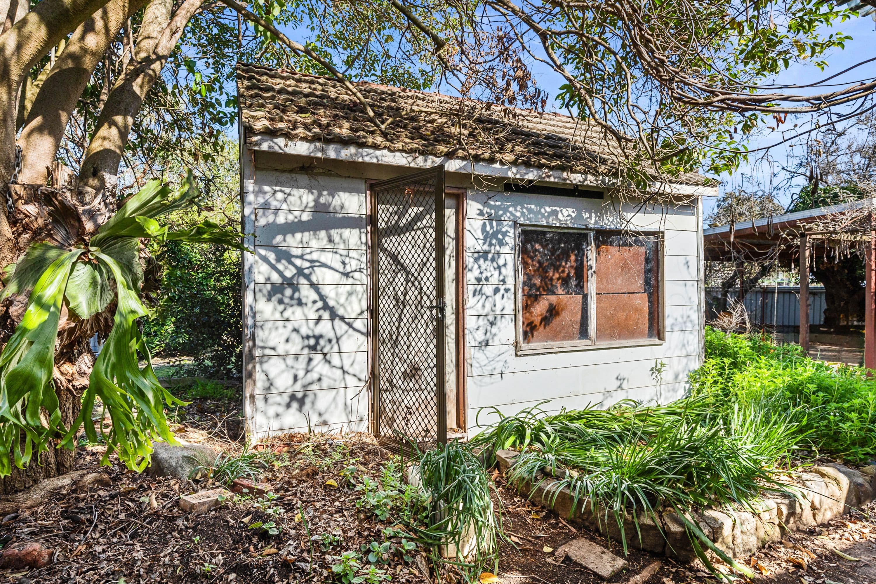 16 Jones Street , Avenel VIC 3664, Avenel - Thumbnail 5