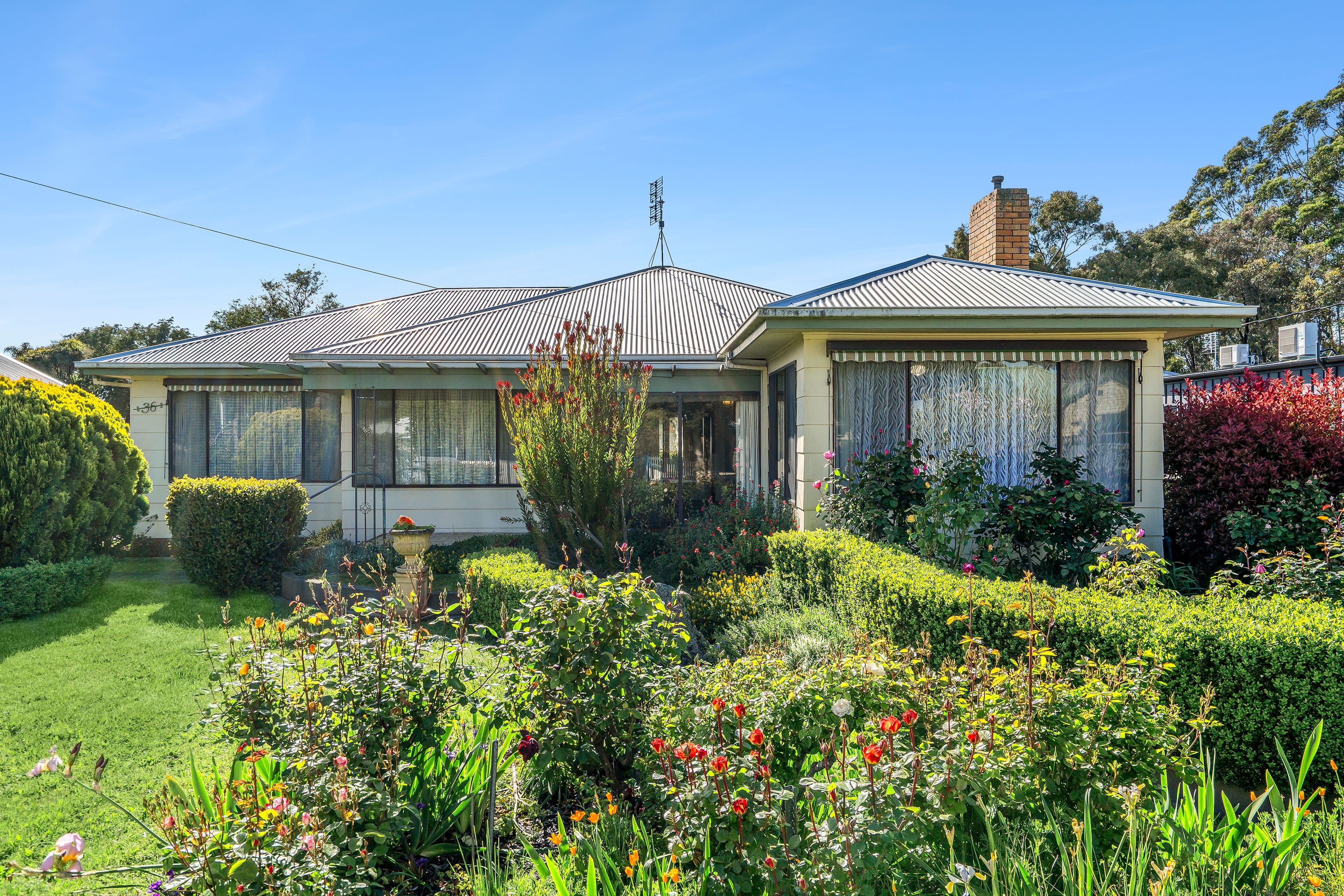 36 Talbot Street , Colac VIC 3250, Colac - Thumbnail 2