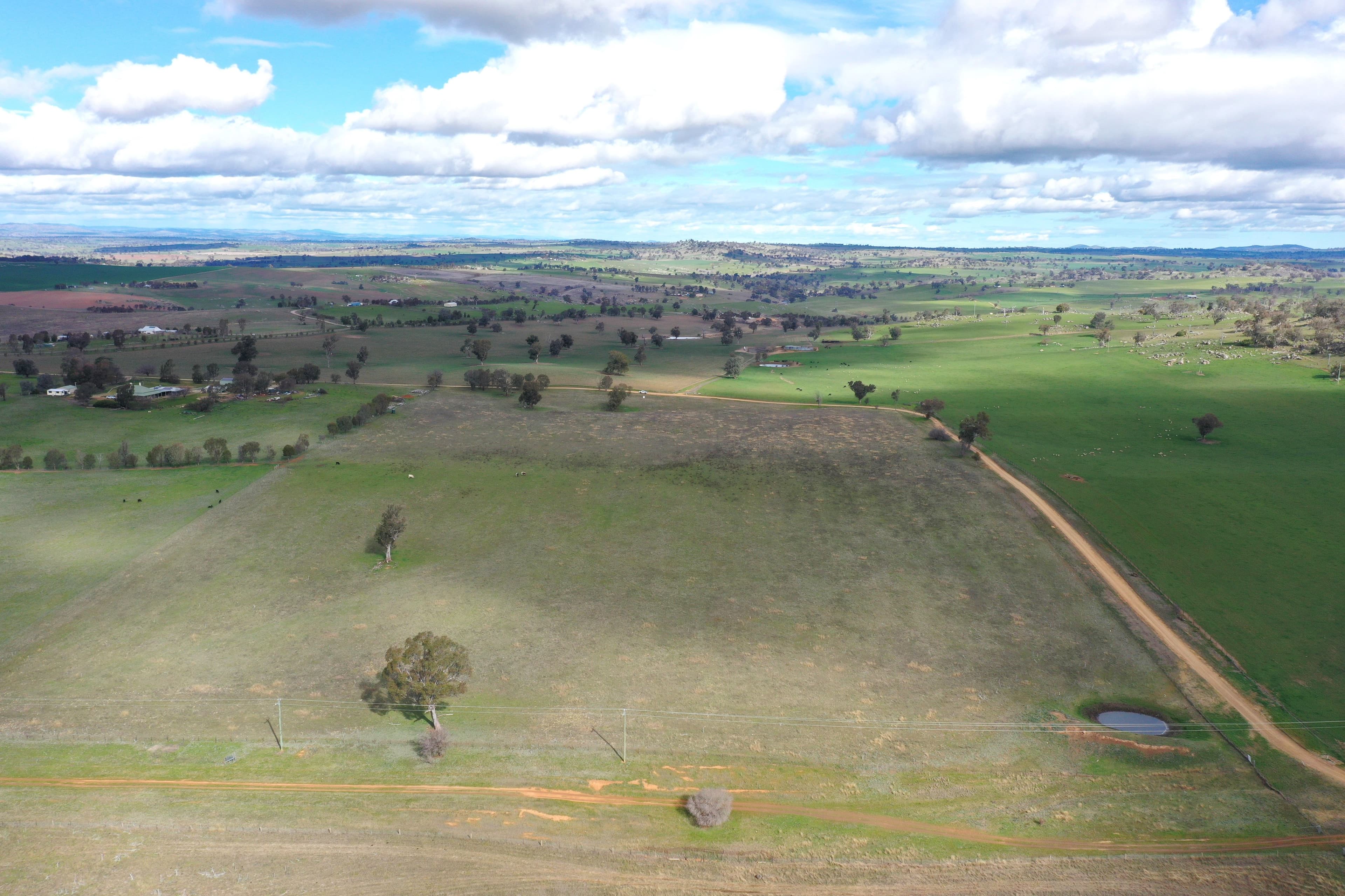 Cemetery Road, Murrumburrah - Thumbnail 4