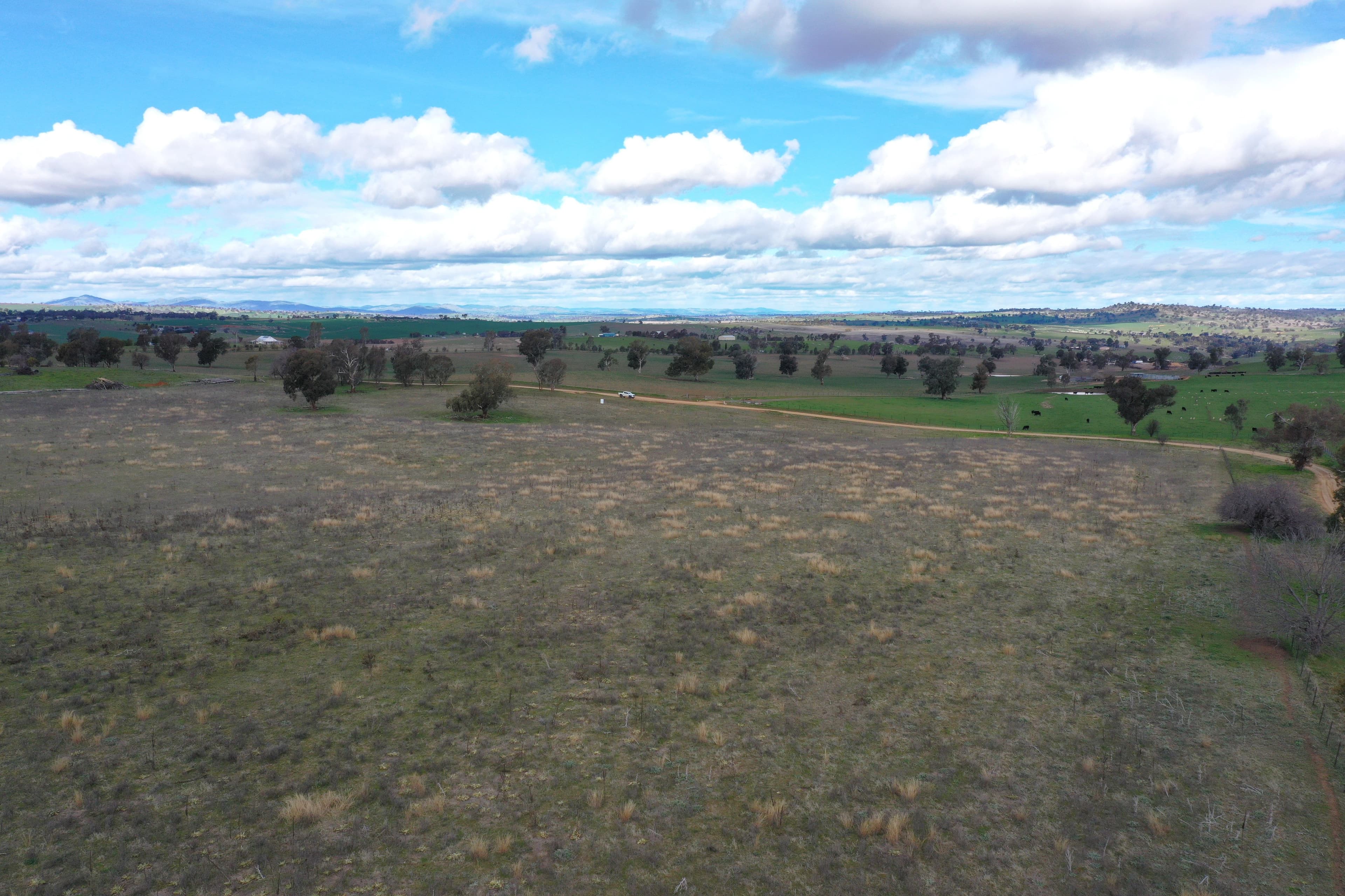 Cemetery Road, Murrumburrah - Thumbnail 5