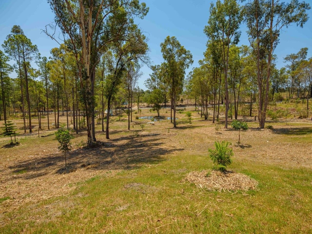 Lot 638 Arbortwenty Two Road , Glenwood QLD 4570, Glenwood - Image 1