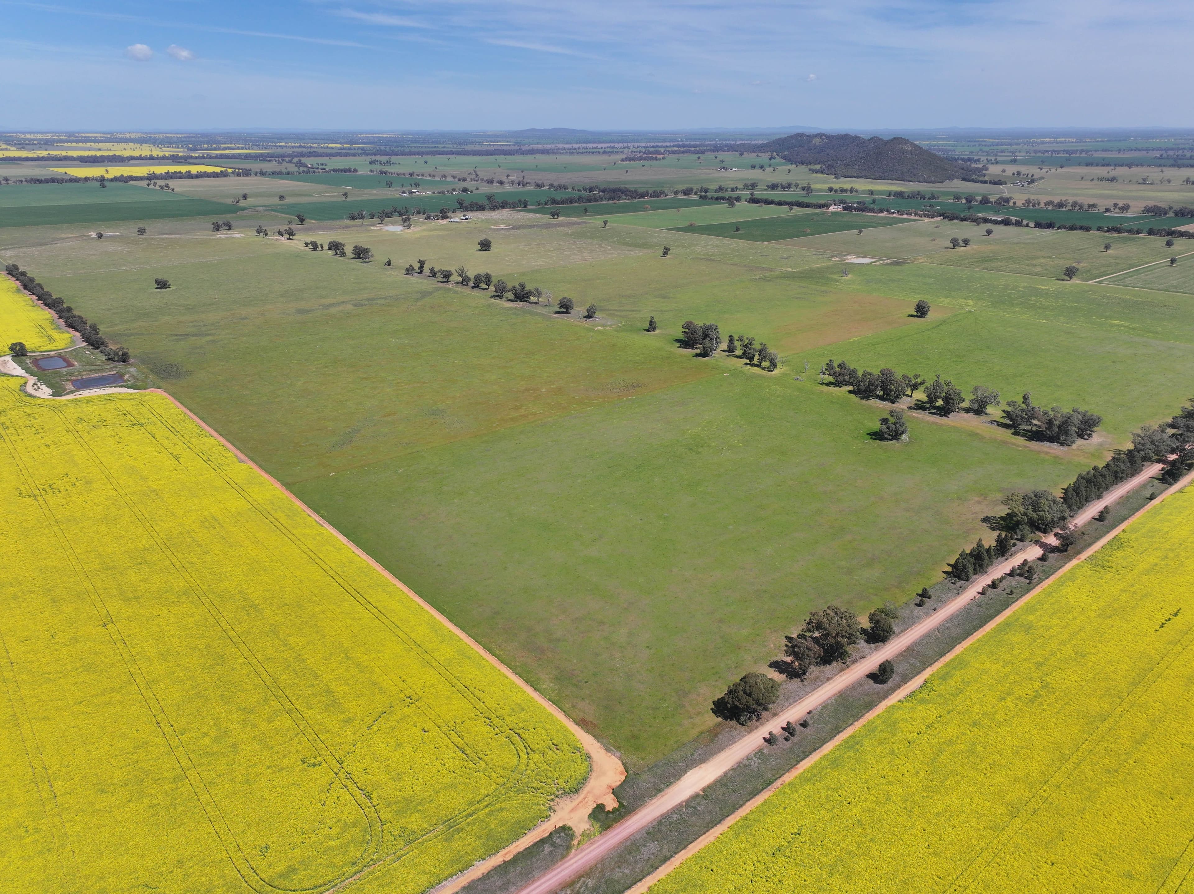 100 Tauntons Road , Kikiamah NSW 2594, Kikiamah - Image 1