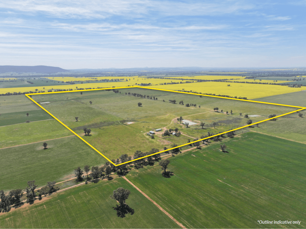 100 Tauntons Road , Kikiamah NSW 2594, Kikiamah - Thumbnail 2
