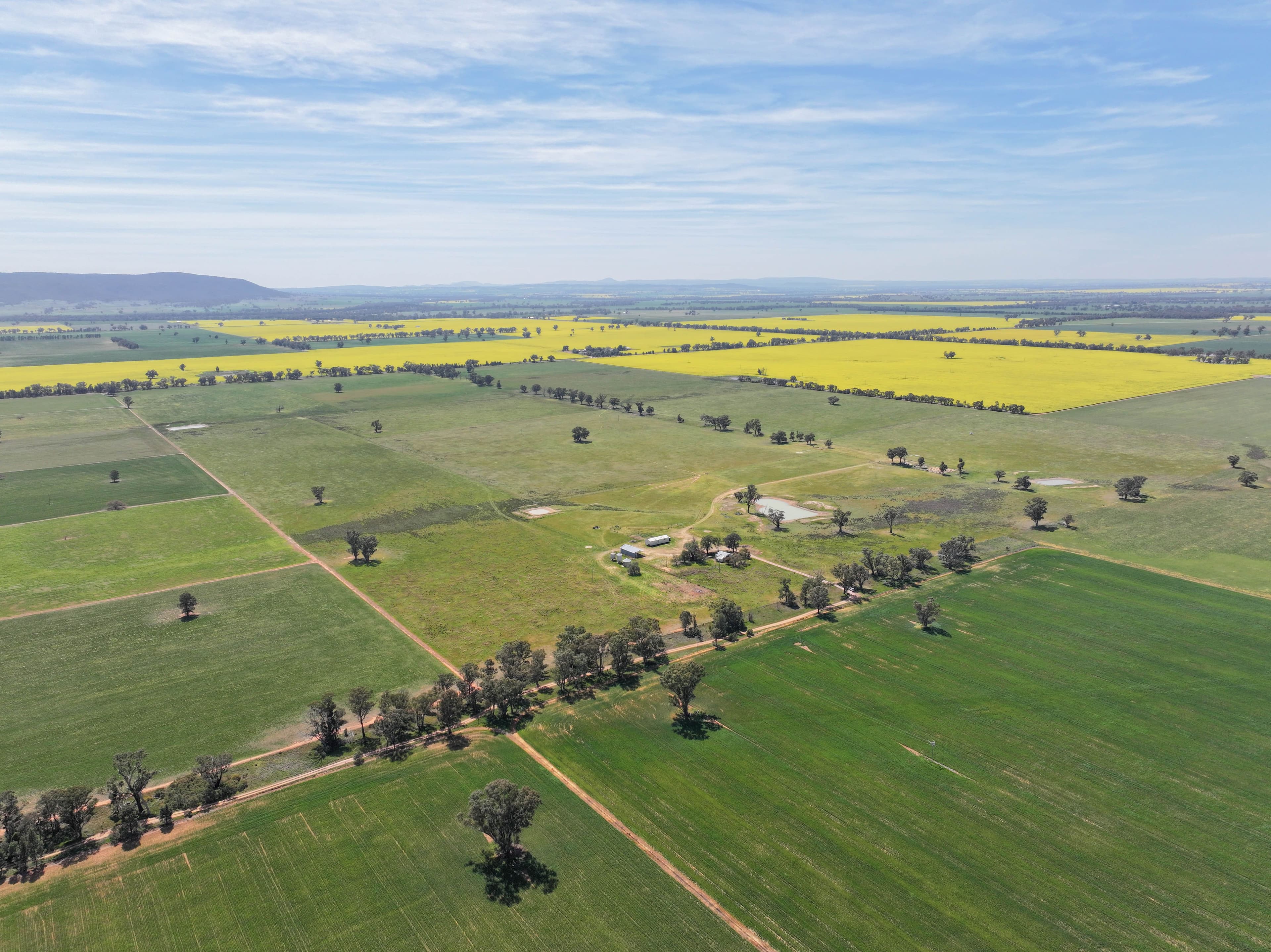 100 Tauntons Road , Kikiamah NSW 2594, Kikiamah - Thumbnail 4
