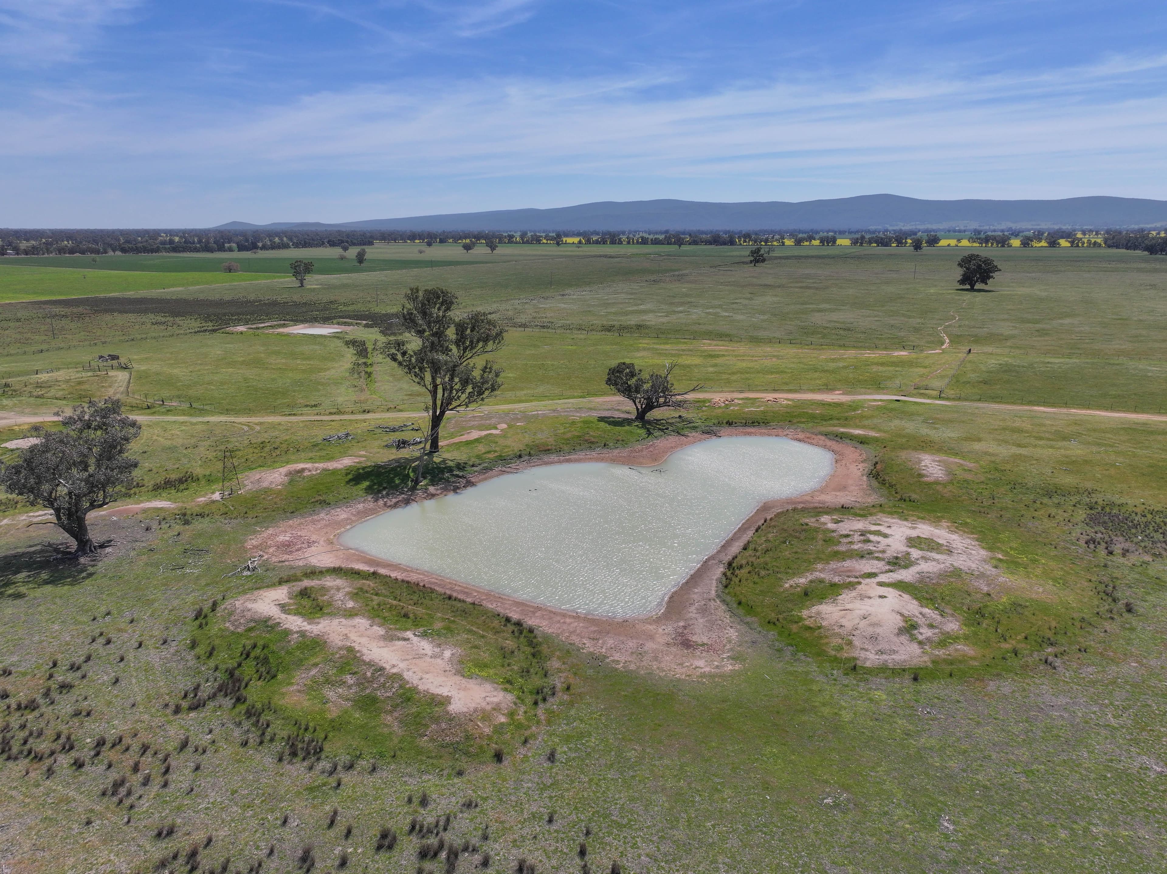 100 Tauntons Road , Kikiamah NSW 2594, Kikiamah - Thumbnail 5