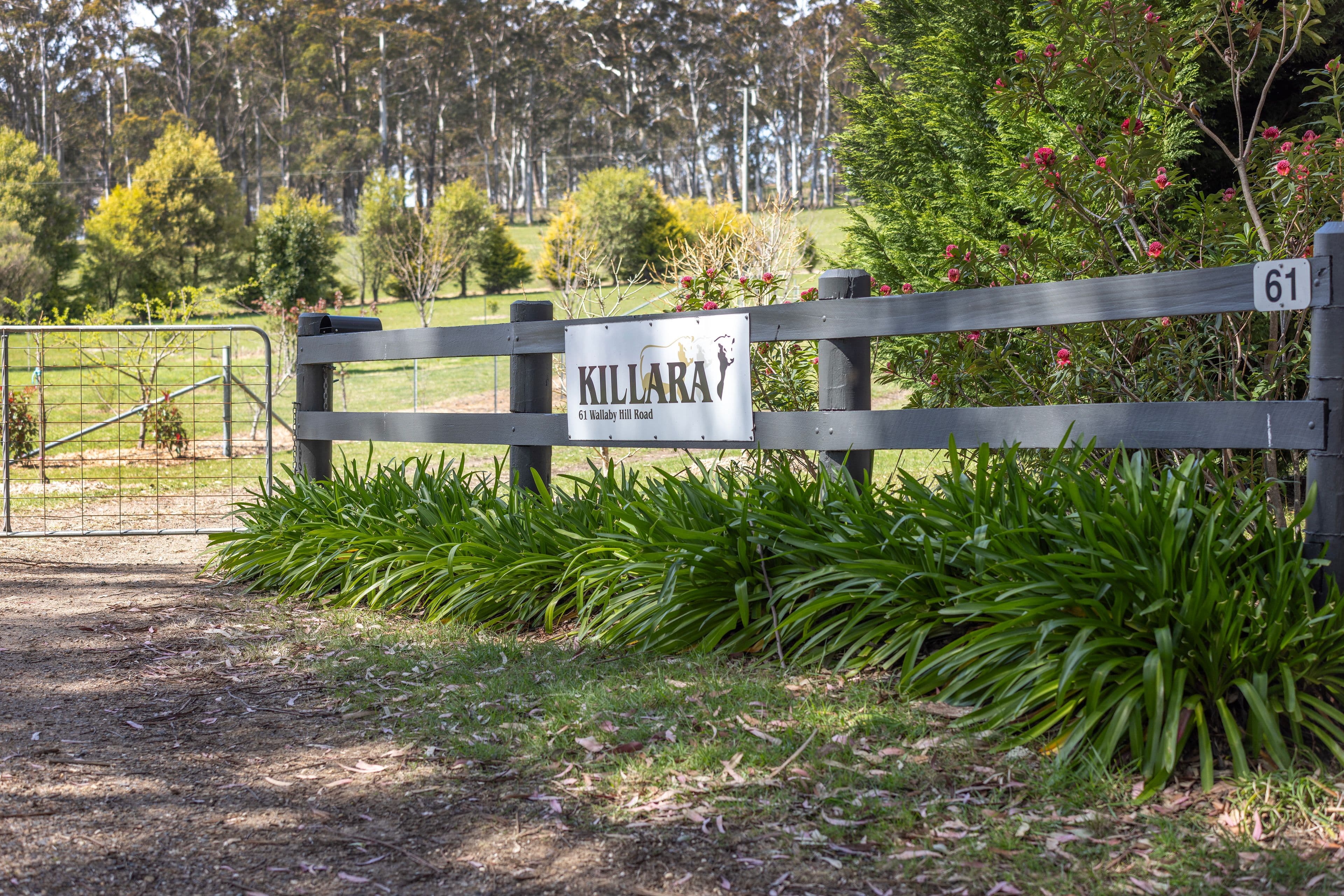 61 Wallaby Hill Road , Robertson NSW 2577, Robertson - Thumbnail 4