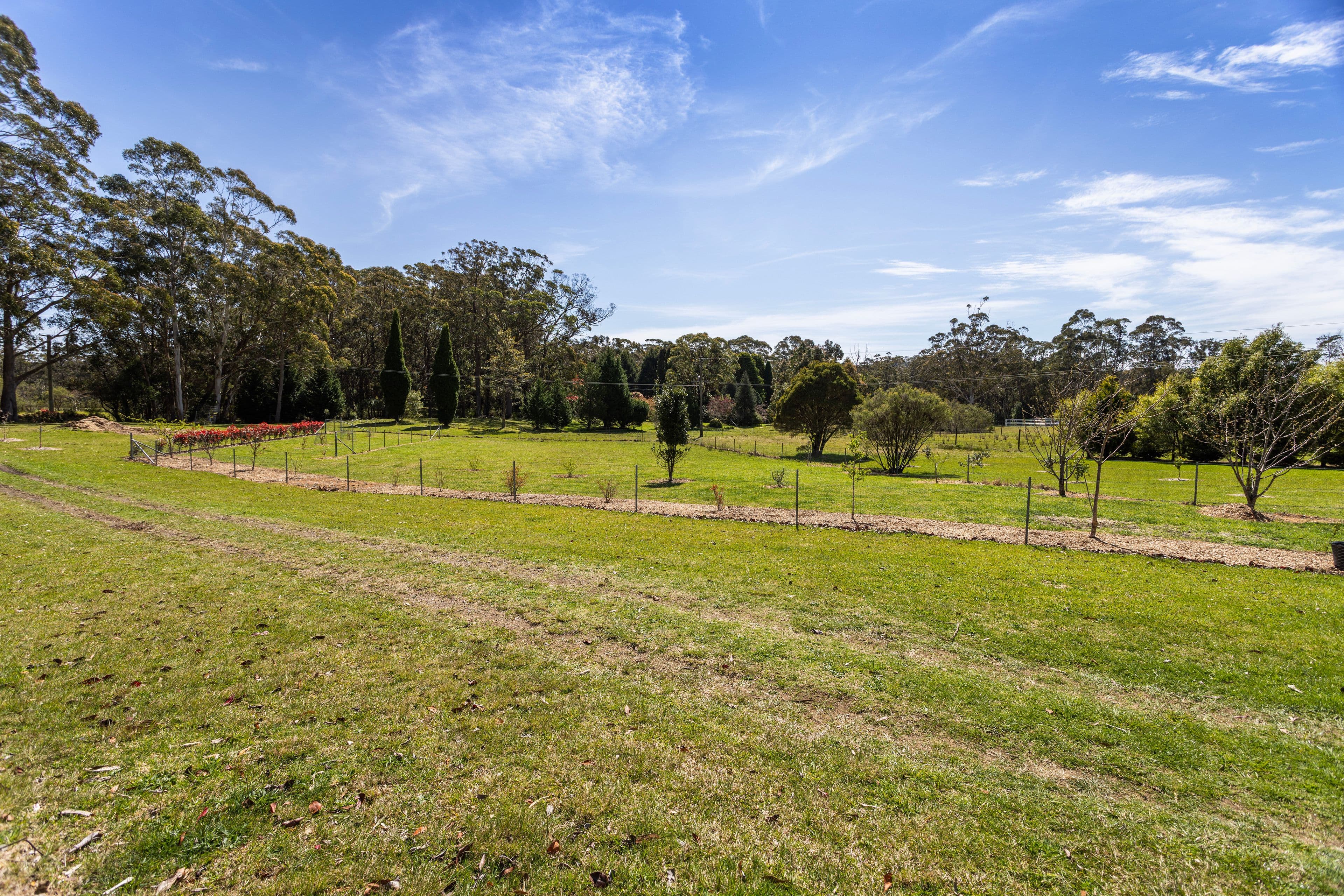 61 Wallaby Hill Road , Robertson NSW 2577, Robertson - Thumbnail 6
