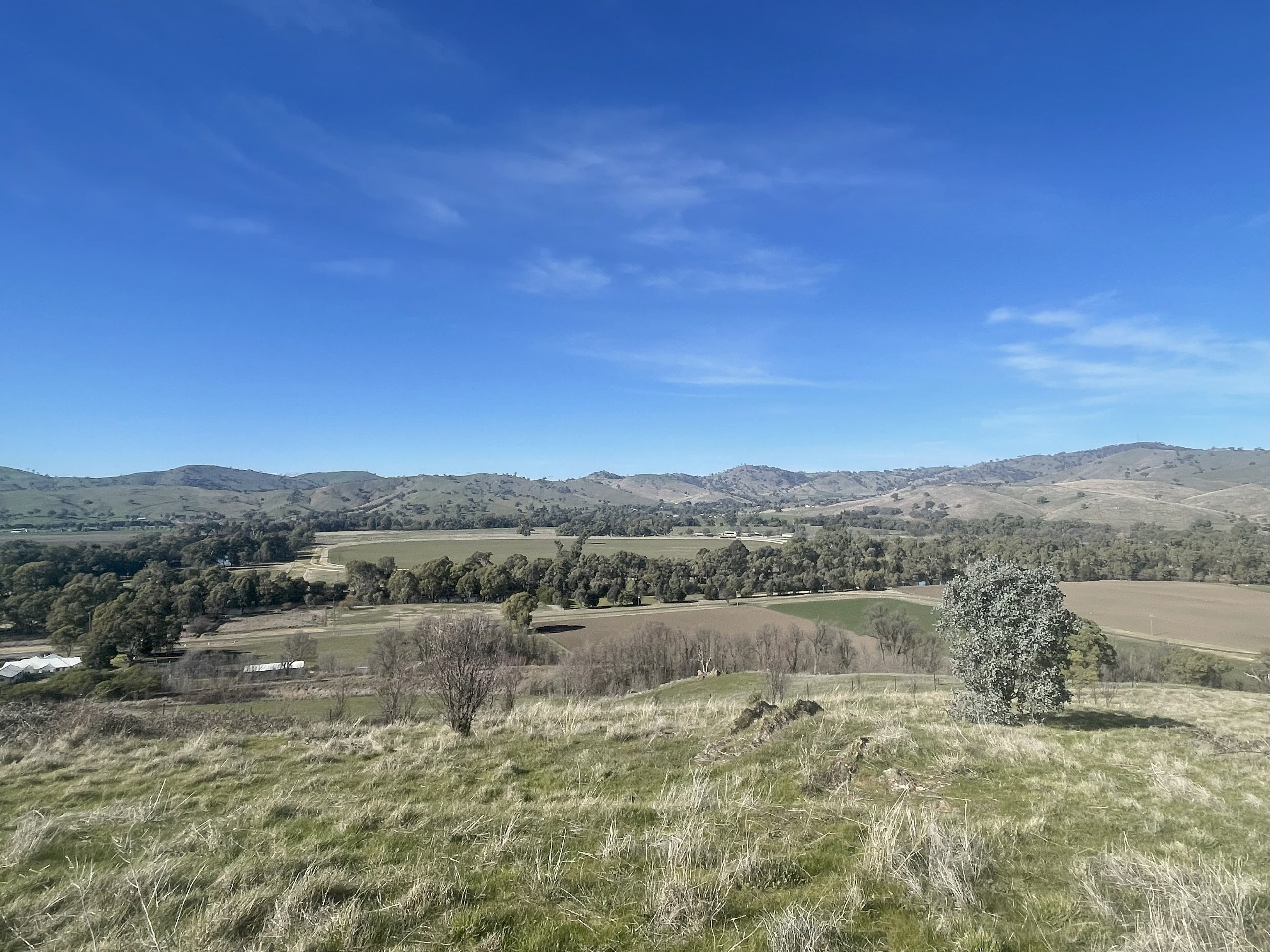 33 Hanley Street , Gundagai NSW 2722, Gundagai - Thumbnail 2