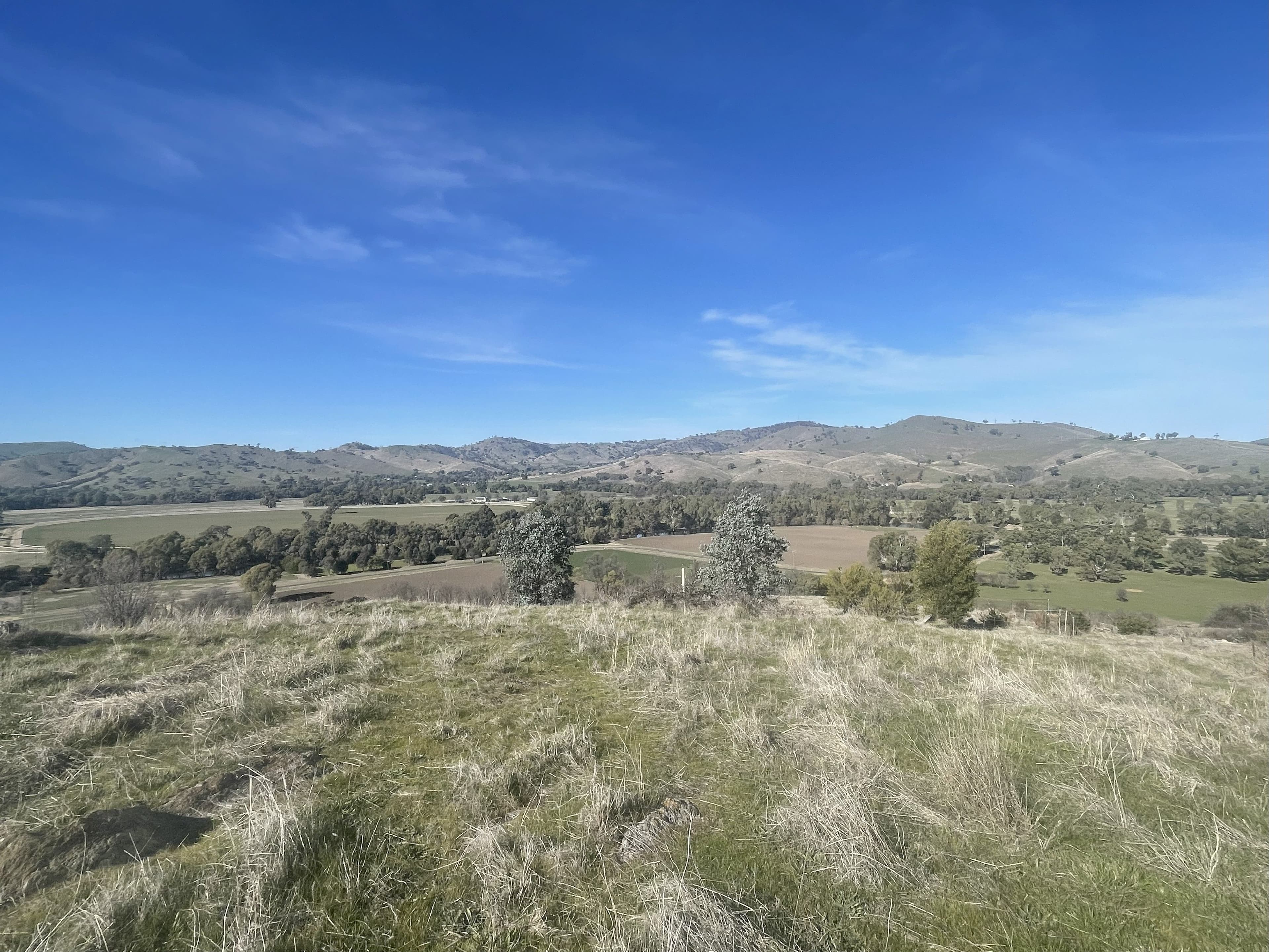 33 Hanley Street , Gundagai NSW 2722, Gundagai - Thumbnail 4