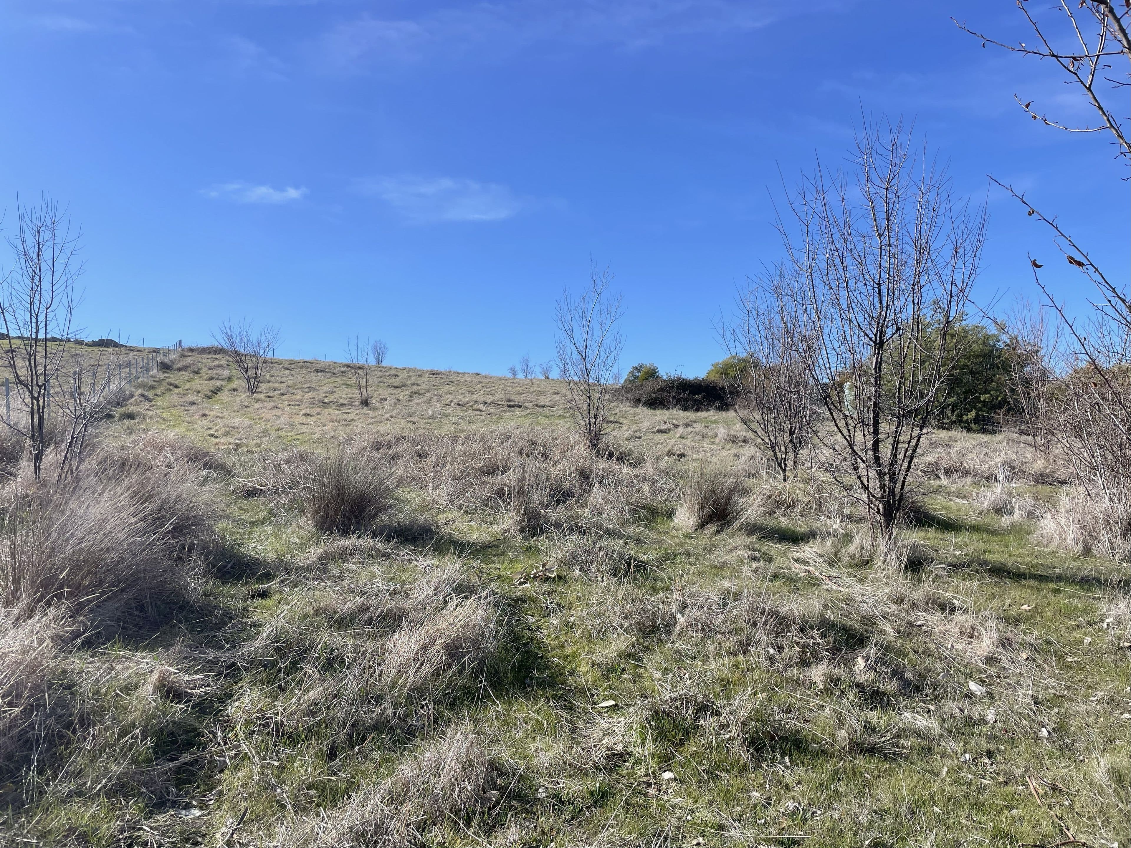 33 Hanley Street , Gundagai NSW 2722, Gundagai - Thumbnail 6