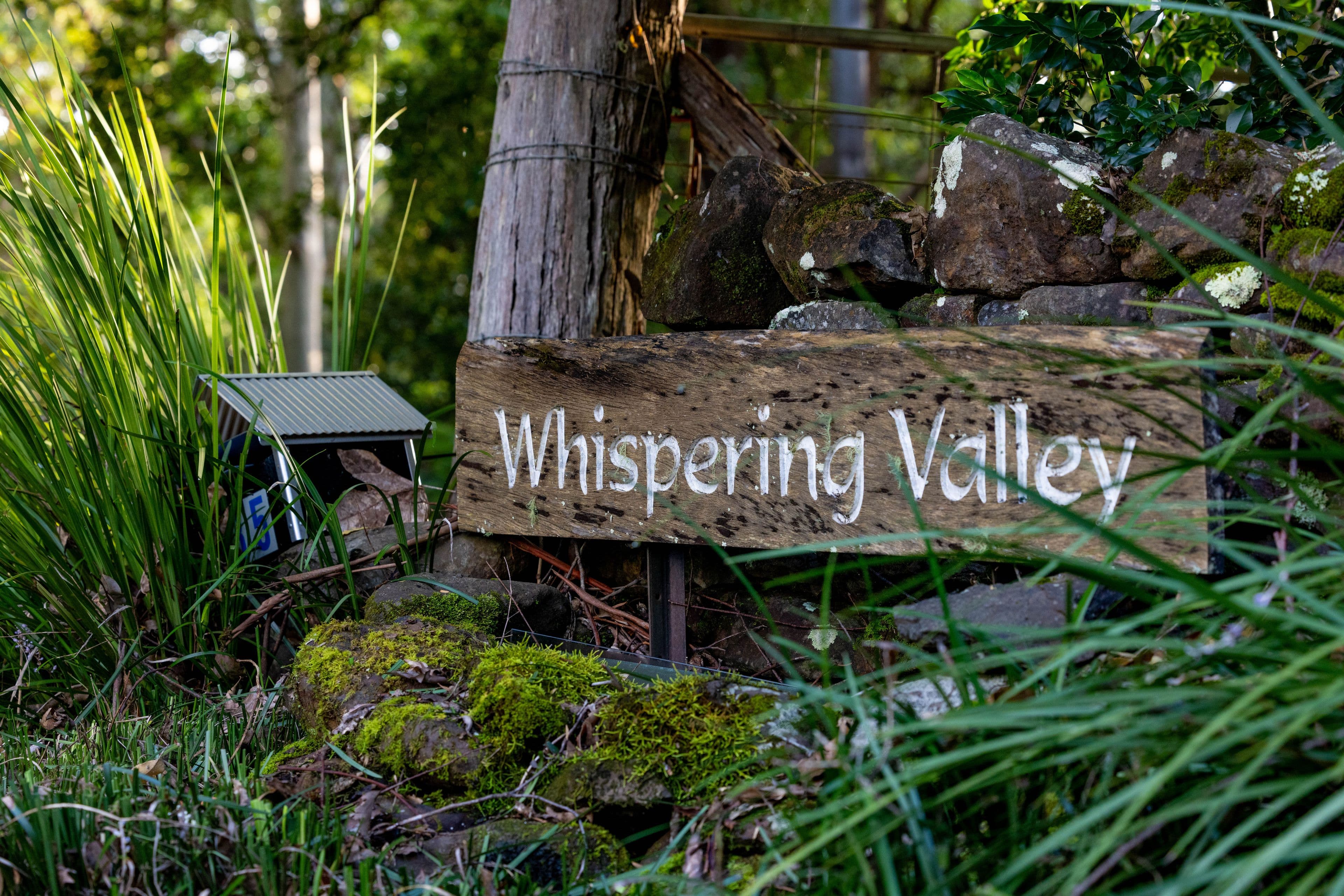 35 Rose Gum Lane , Witta QLD 4552, Witta - Thumbnail 3