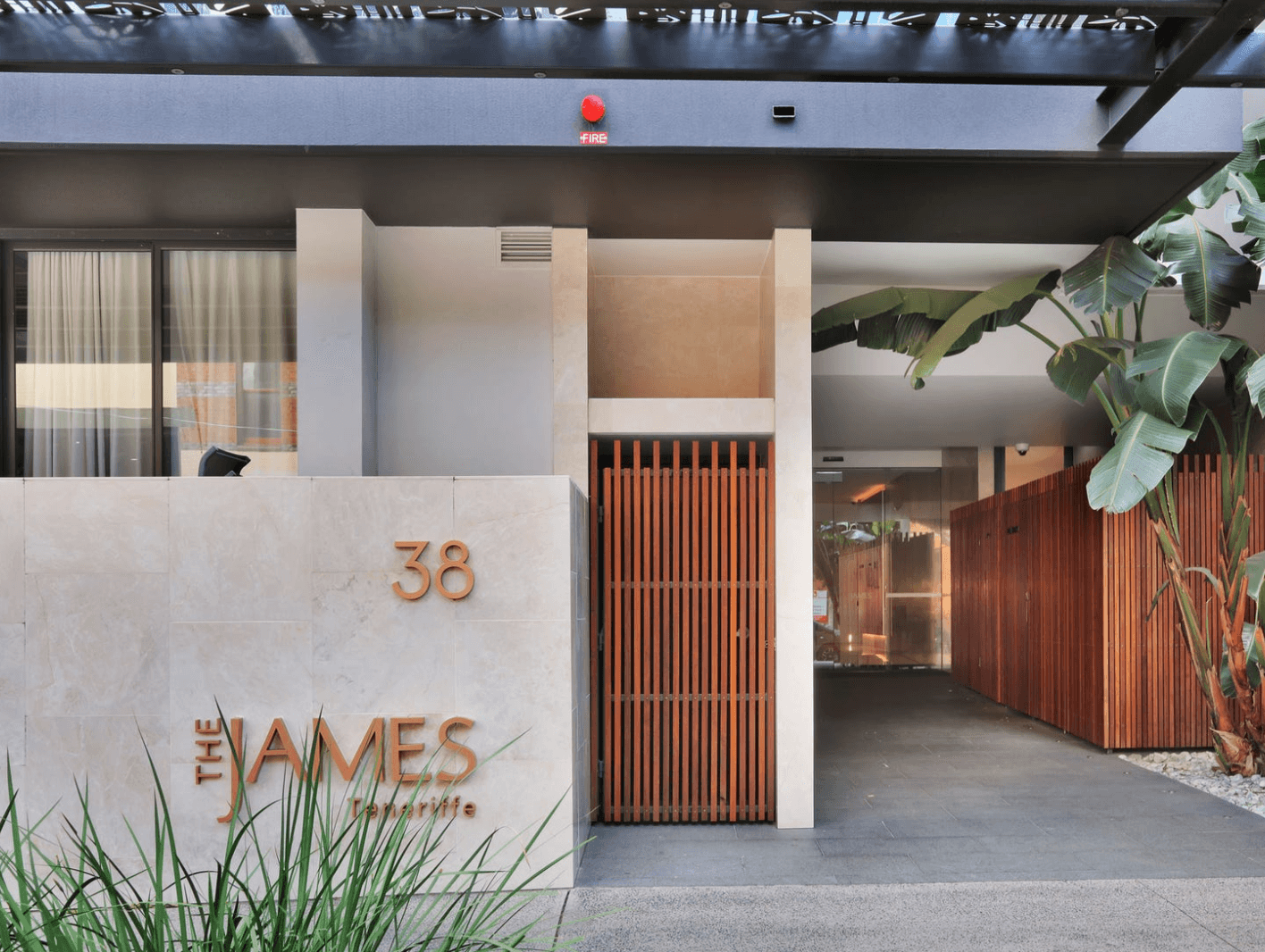 38 Helen Street , Teneriffe QLD 4005, Teneriffe - Image 1